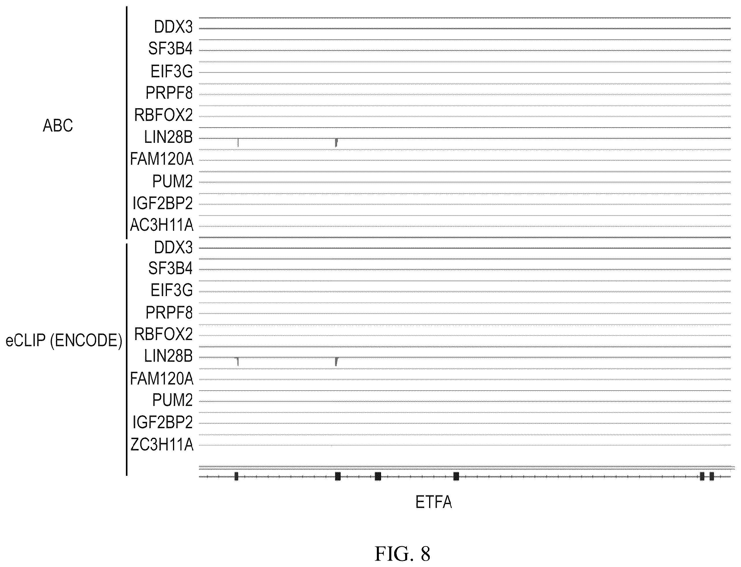 Patent US12460257 Figure 8 – Methods for detecting RNA binding protein complexes