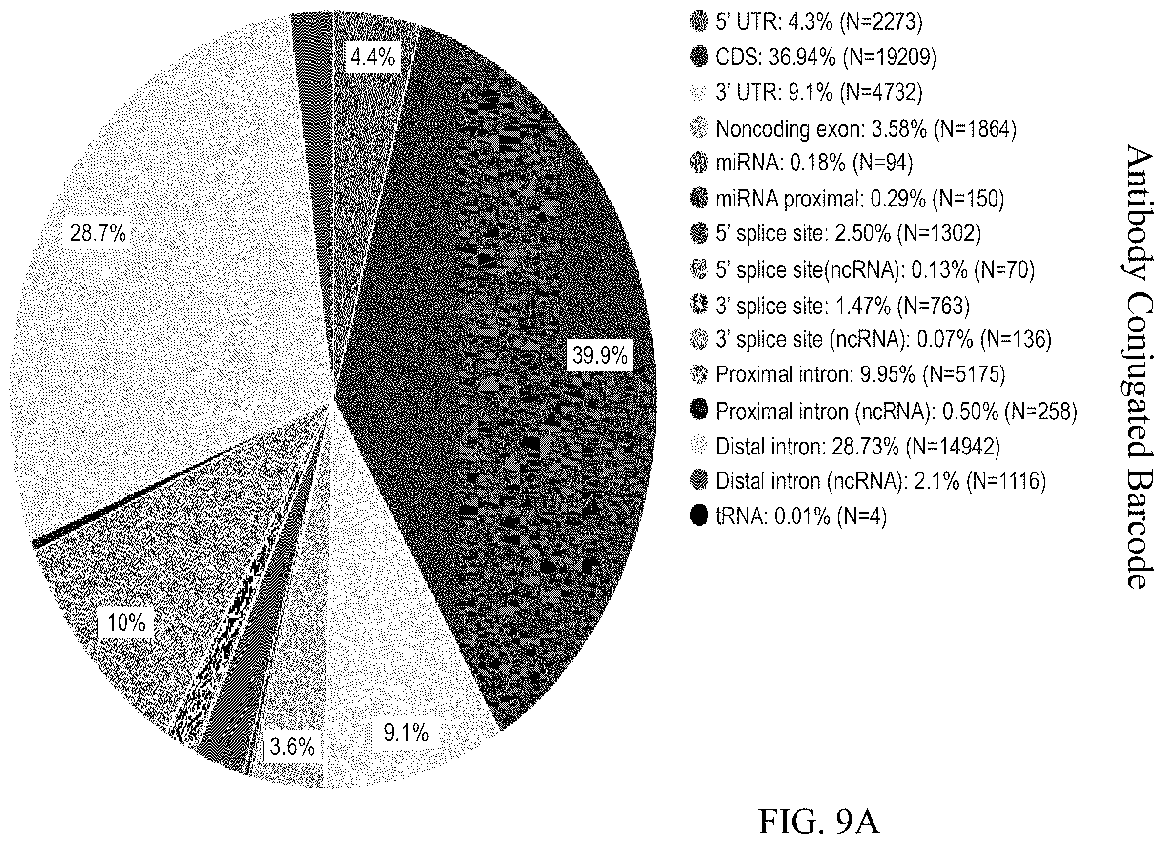 Patent US12460257 Figure 9 – Methods for detecting RNA binding protein complexes