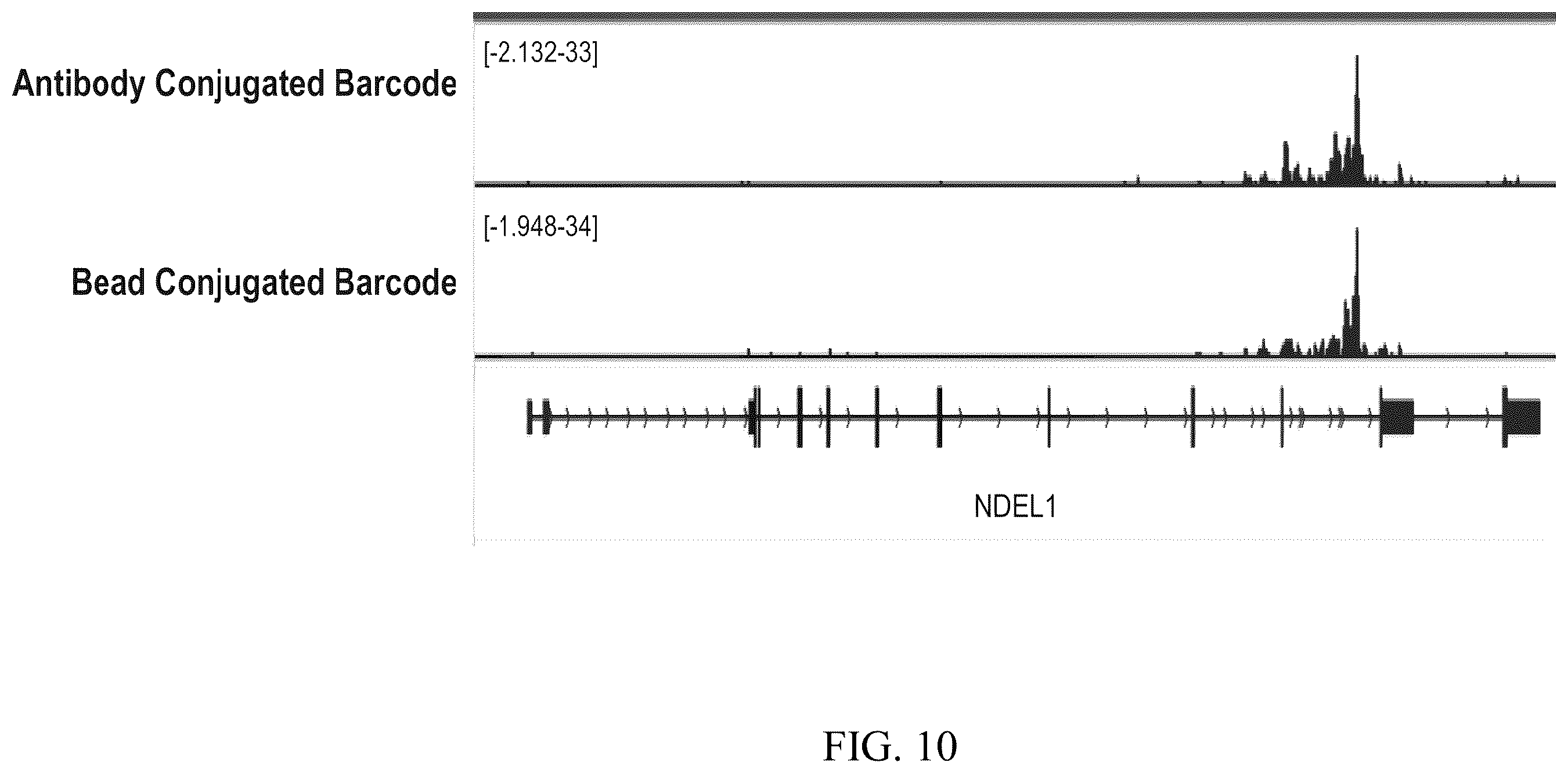Patent US12460257 Figure 11 – Methods for detecting RNA binding protein complexes
