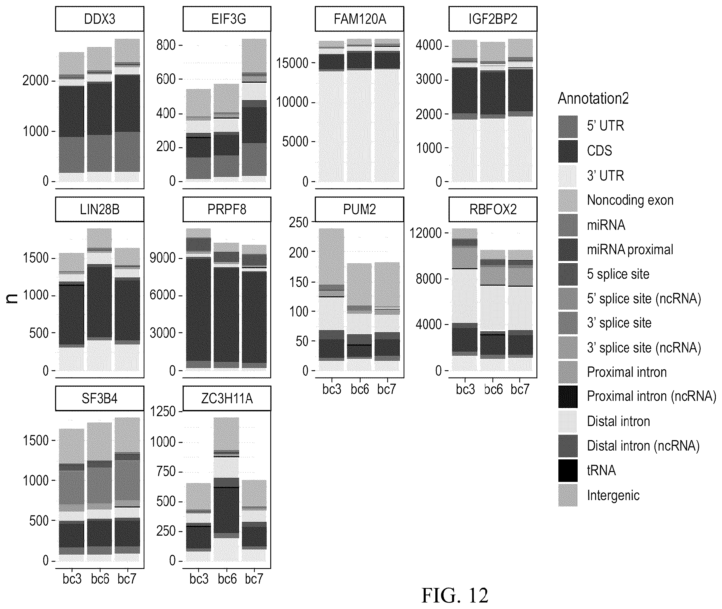 Patent US12460257 Figure 13 – Methods for detecting RNA binding protein complexes