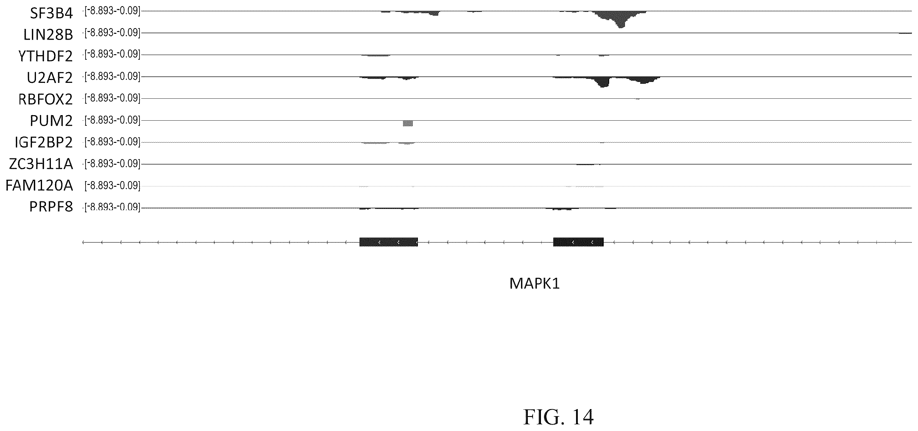 Patent US12460257 Figure 15 – Methods for detecting RNA binding protein complexes