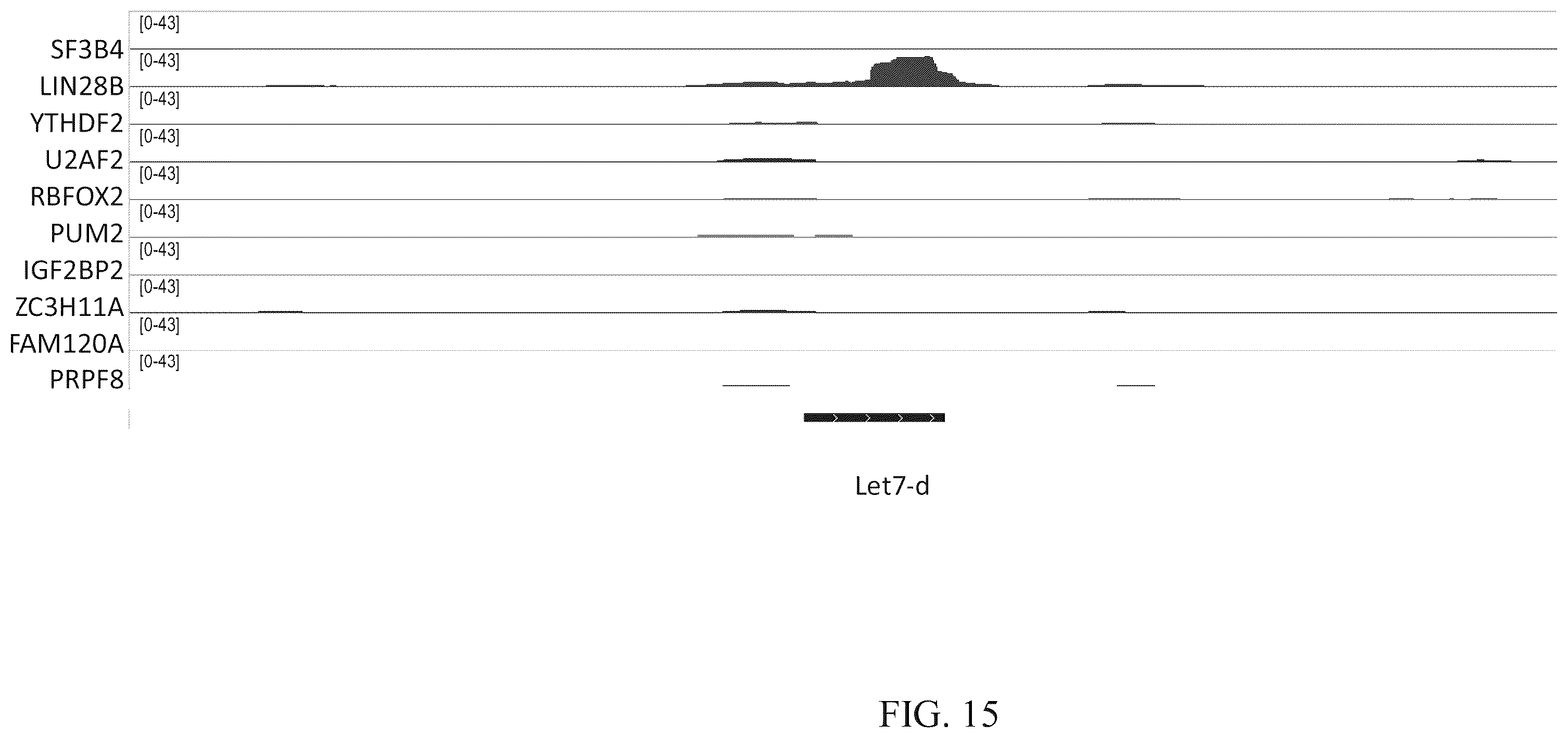 Patent US12460257 Figure 16 – Methods for detecting RNA binding protein complexes