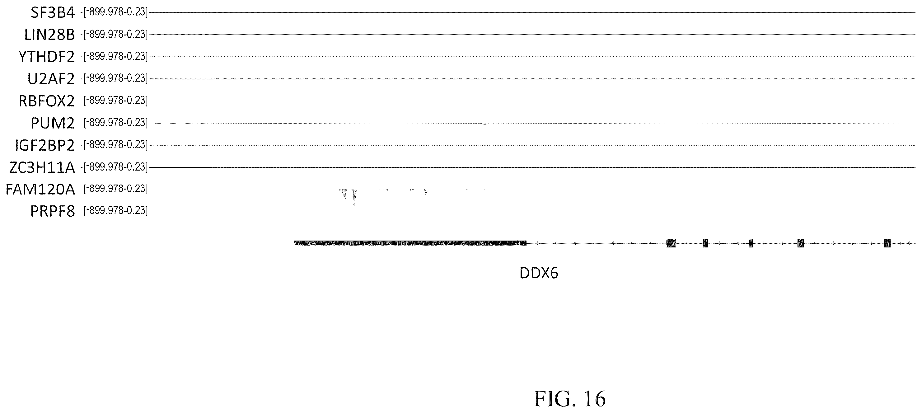 Patent US12460257 Figure 17 – Methods for detecting RNA binding protein complexes