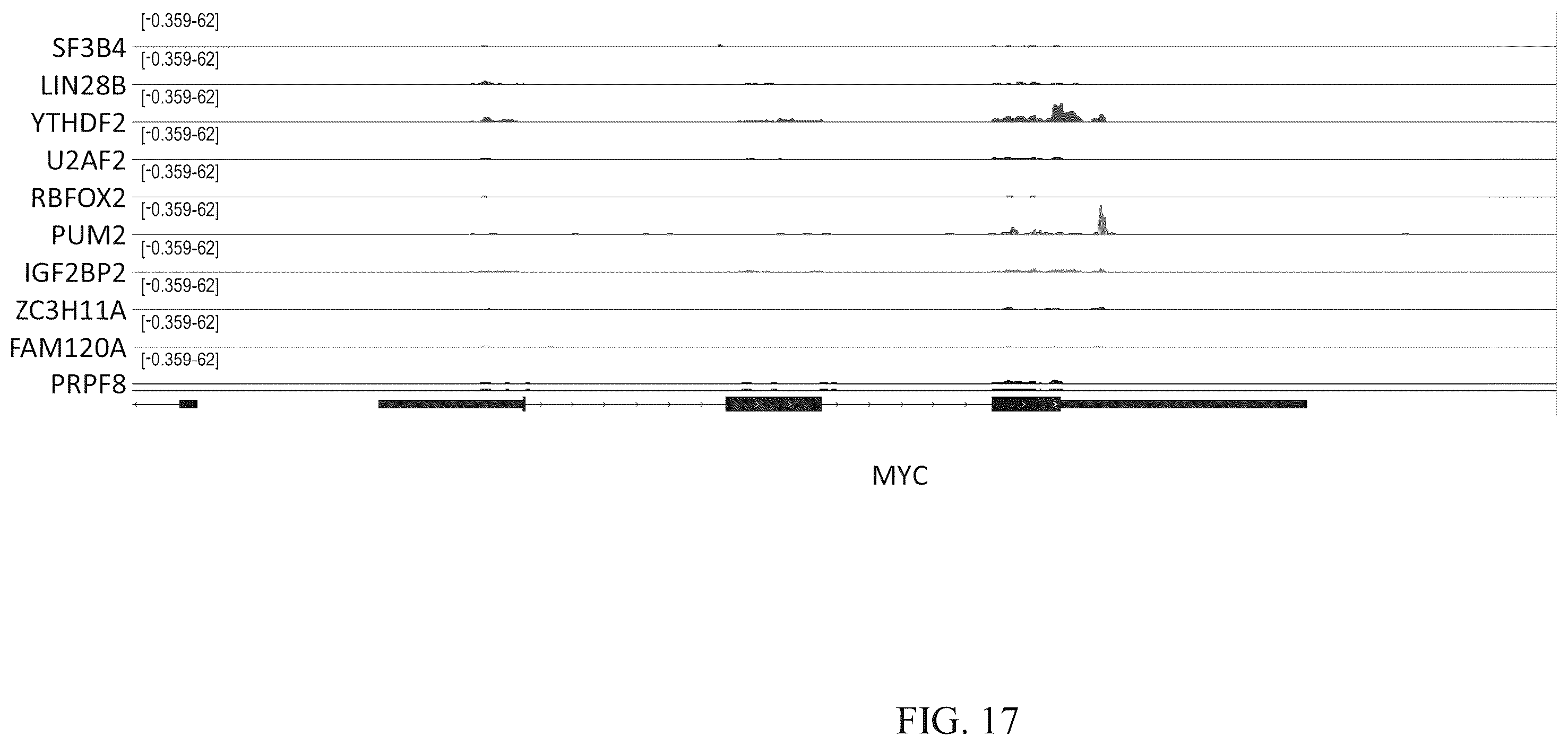 Patent US12460257 Figure 18 – Methods for detecting RNA binding protein complexes