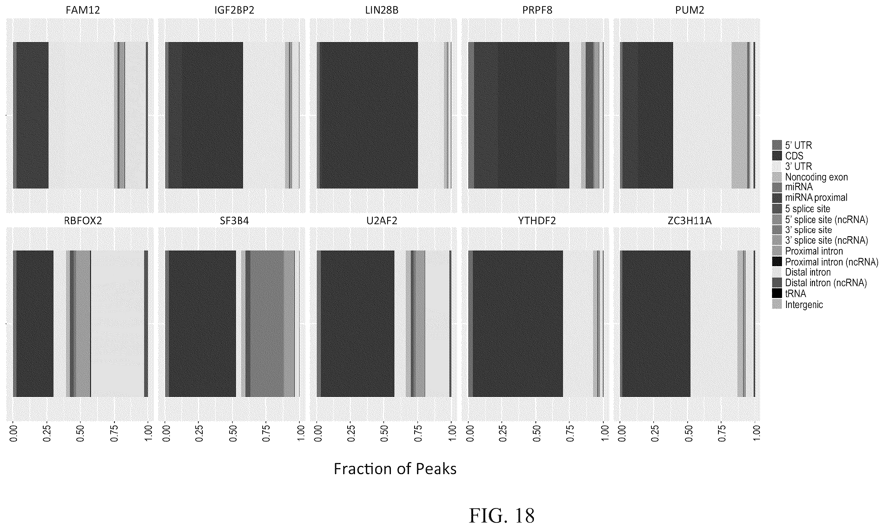 Patent US12460257 Figure 19 – Methods for detecting RNA binding protein complexes