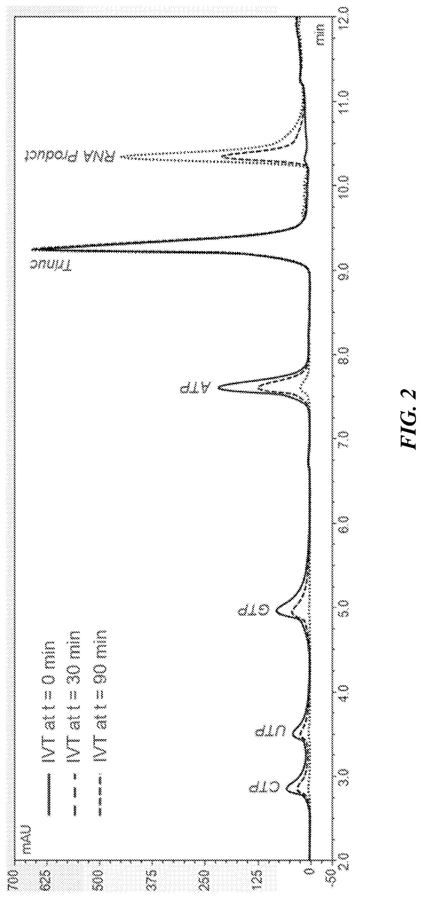 Patent US12460259 Figure 2 – Fed-batch in vitro transcription process
