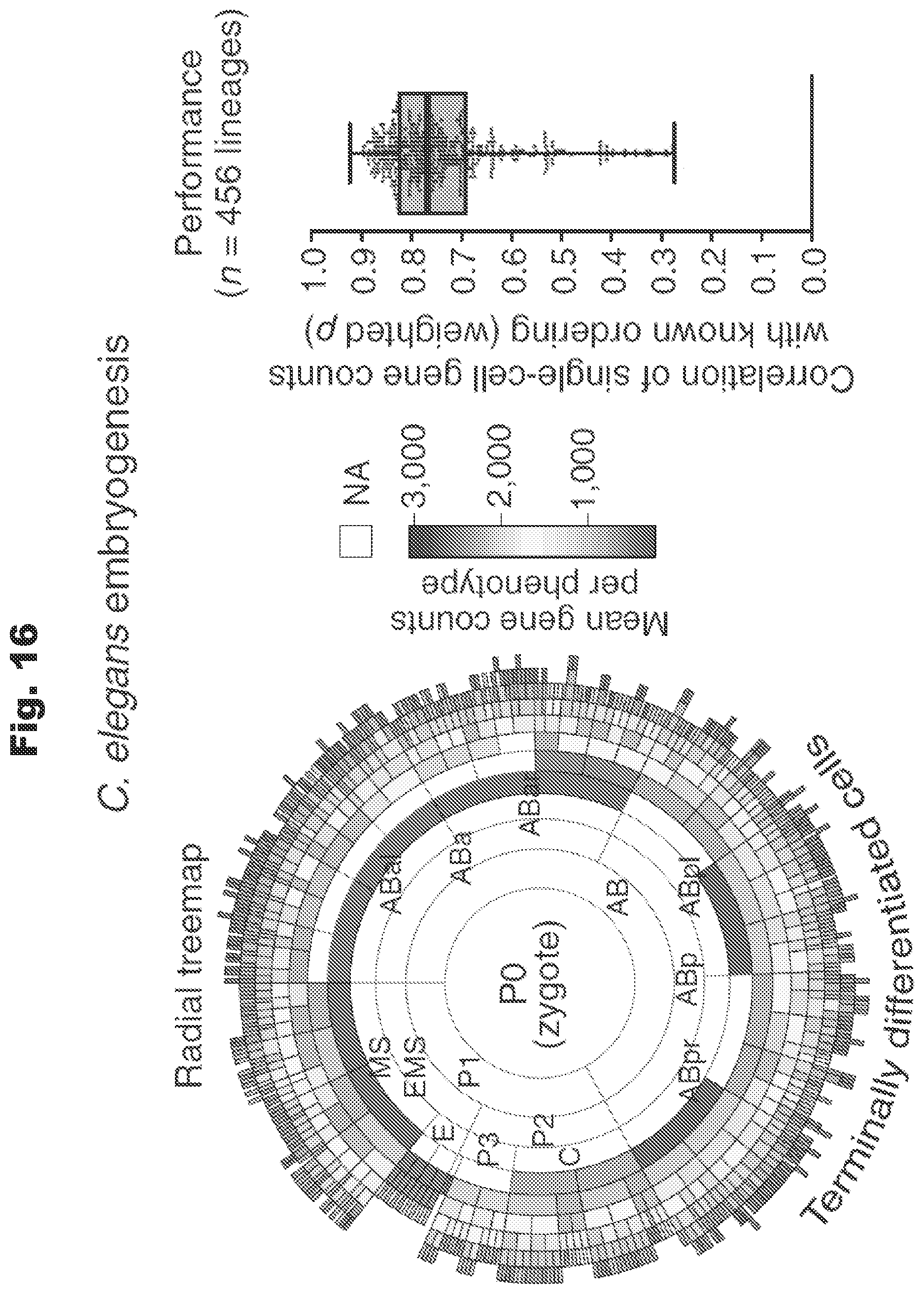 Patent US12460260 Figure 19 – Methods utilizing single cell genetic data for cell population analysis and applications thereof