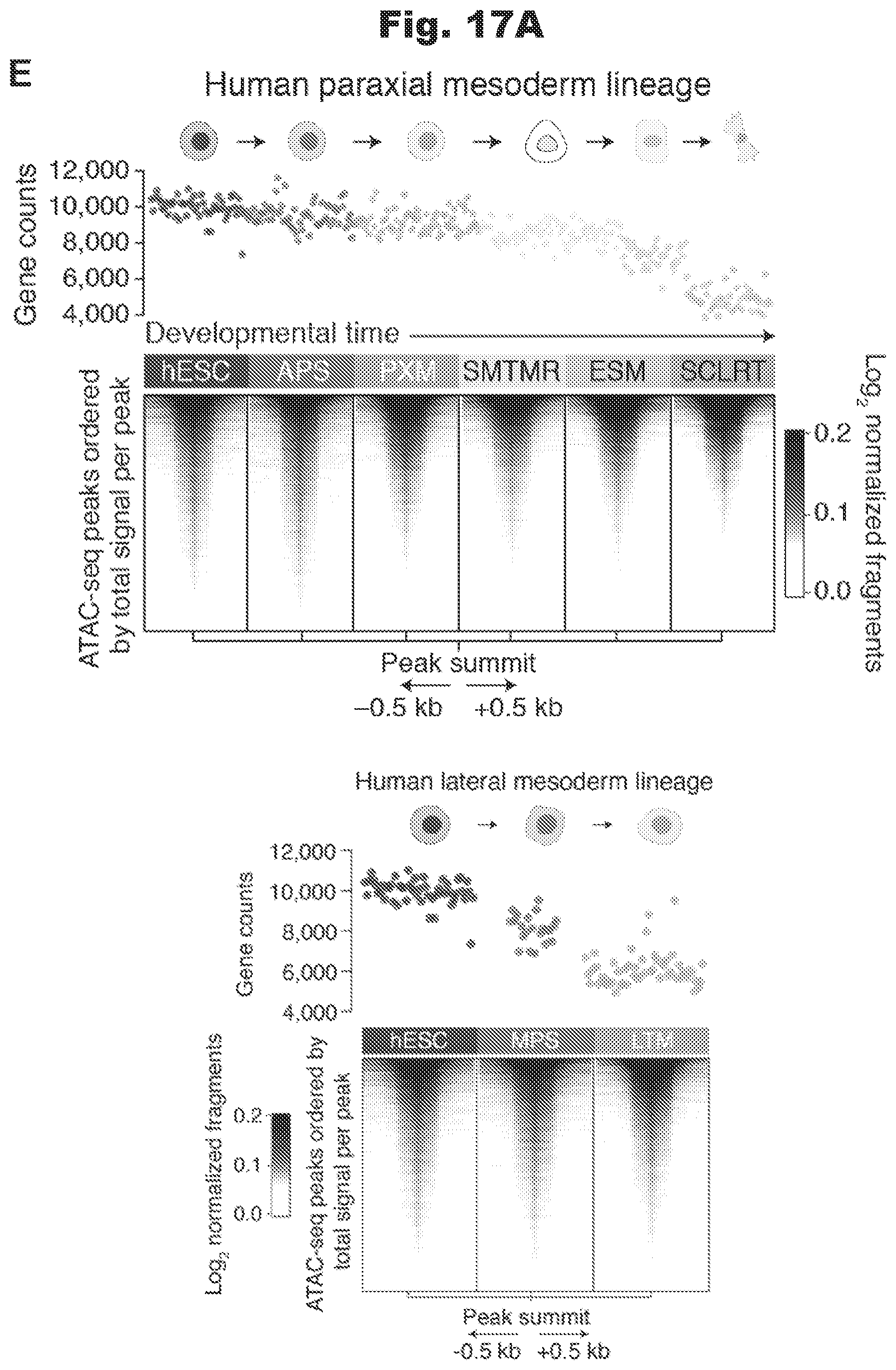 Patent US12460260 Figure 20 – Methods utilizing single cell genetic data for cell population analysis and applications thereof