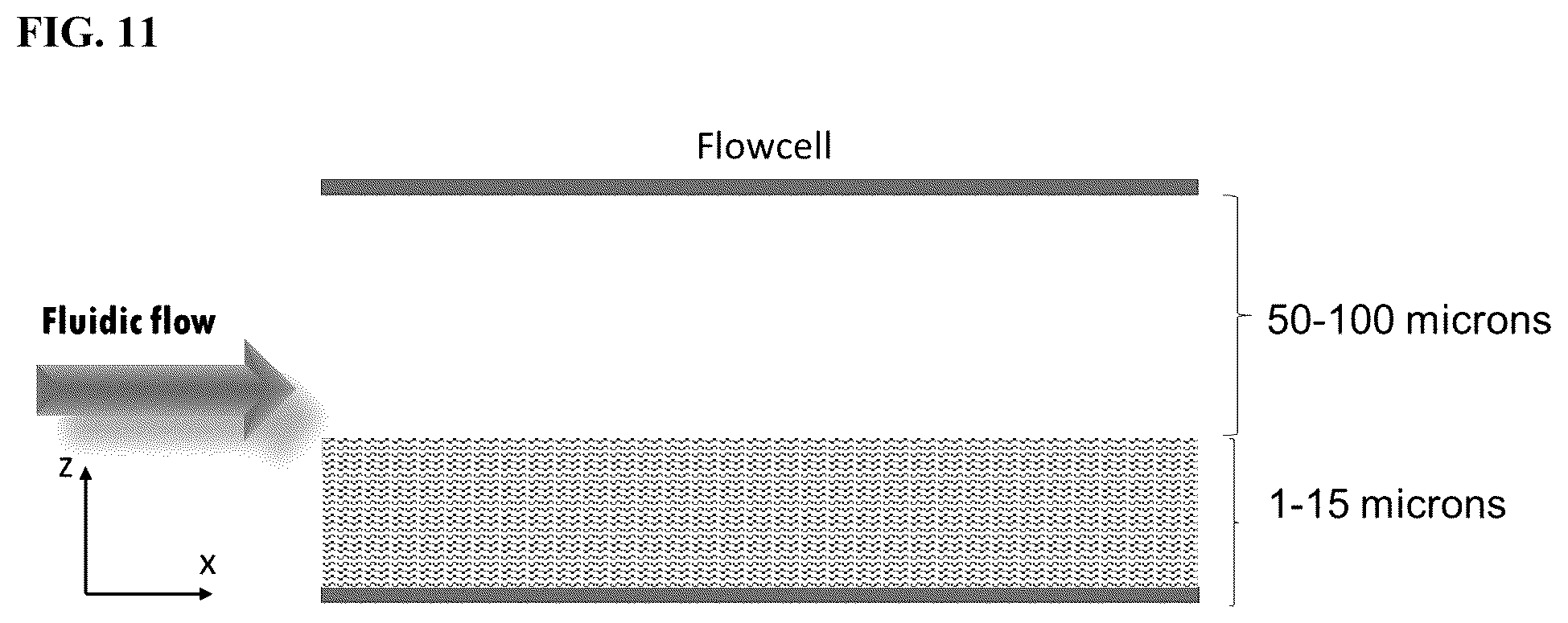 Patent US12460261 Figure 10 – Compositions and methods for nucleic acid sequencing