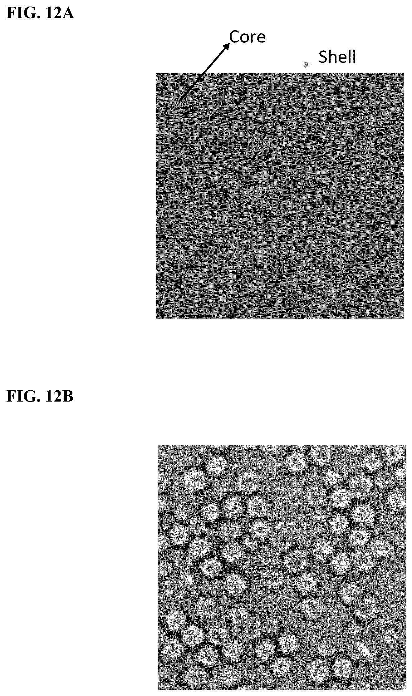 Patent US12460261 Figure 11 – Compositions and methods for nucleic acid sequencing