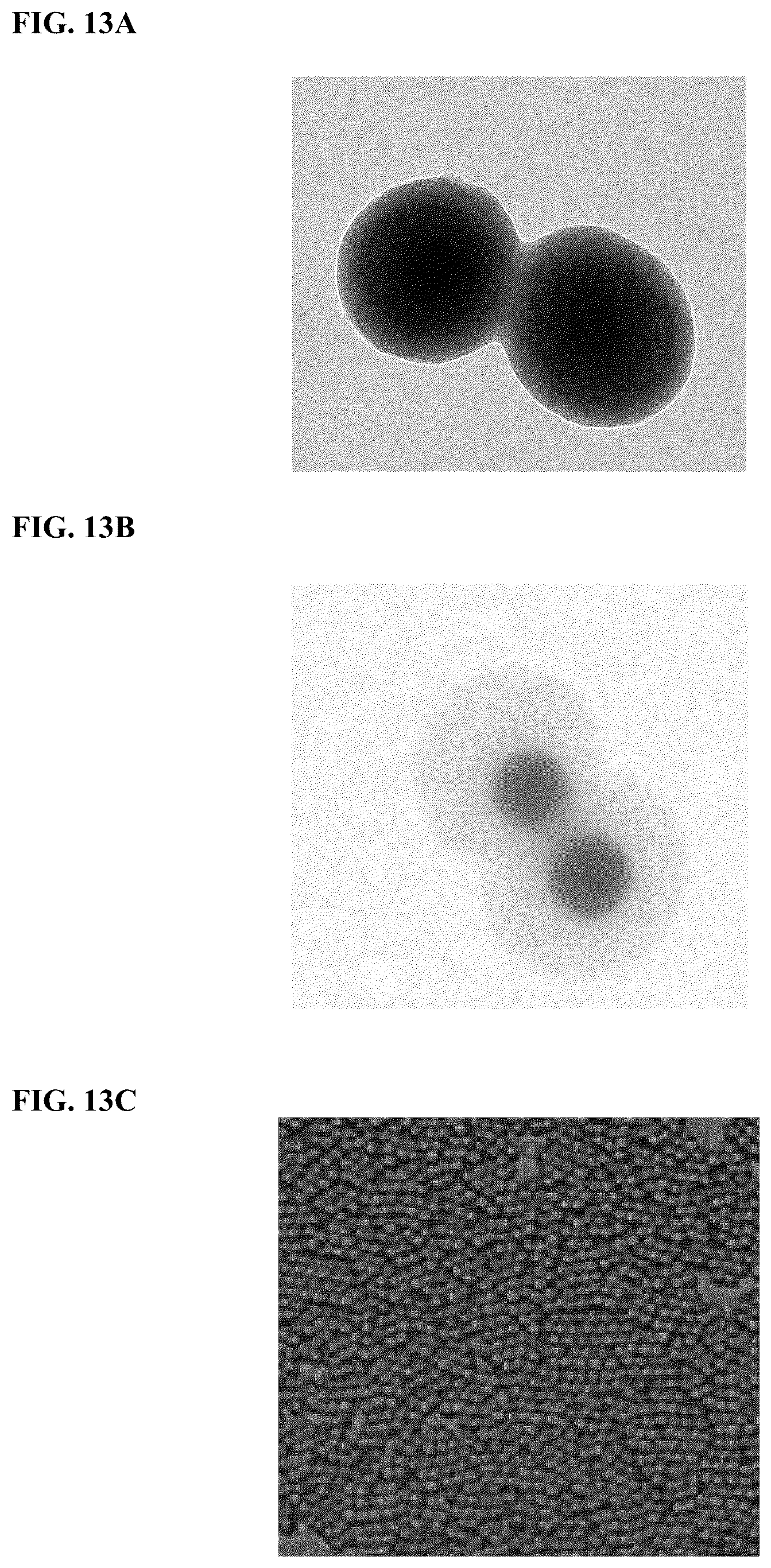 Patent US12460261 Figure 12 – Compositions and methods for nucleic acid sequencing