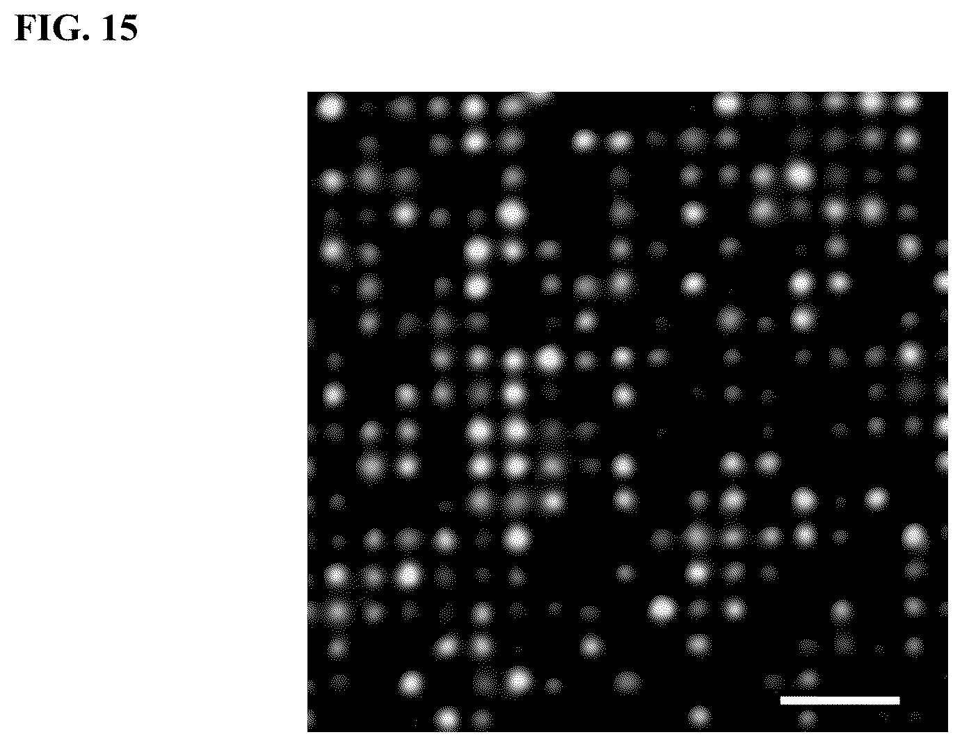 Patent US12460261 Figure 14 – Compositions and methods for nucleic acid sequencing