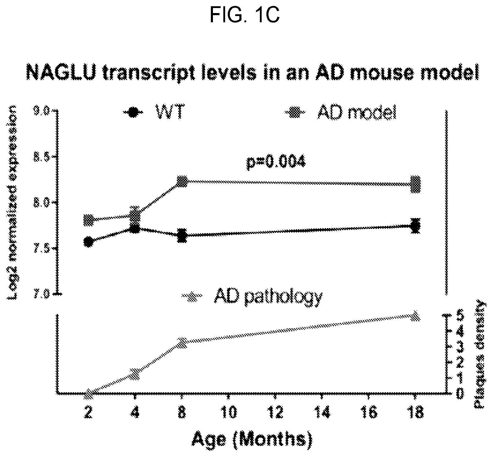 Patent US12460262 Figure 3 – Methods of detecting, preventing, reversing, and treating neurological diseases