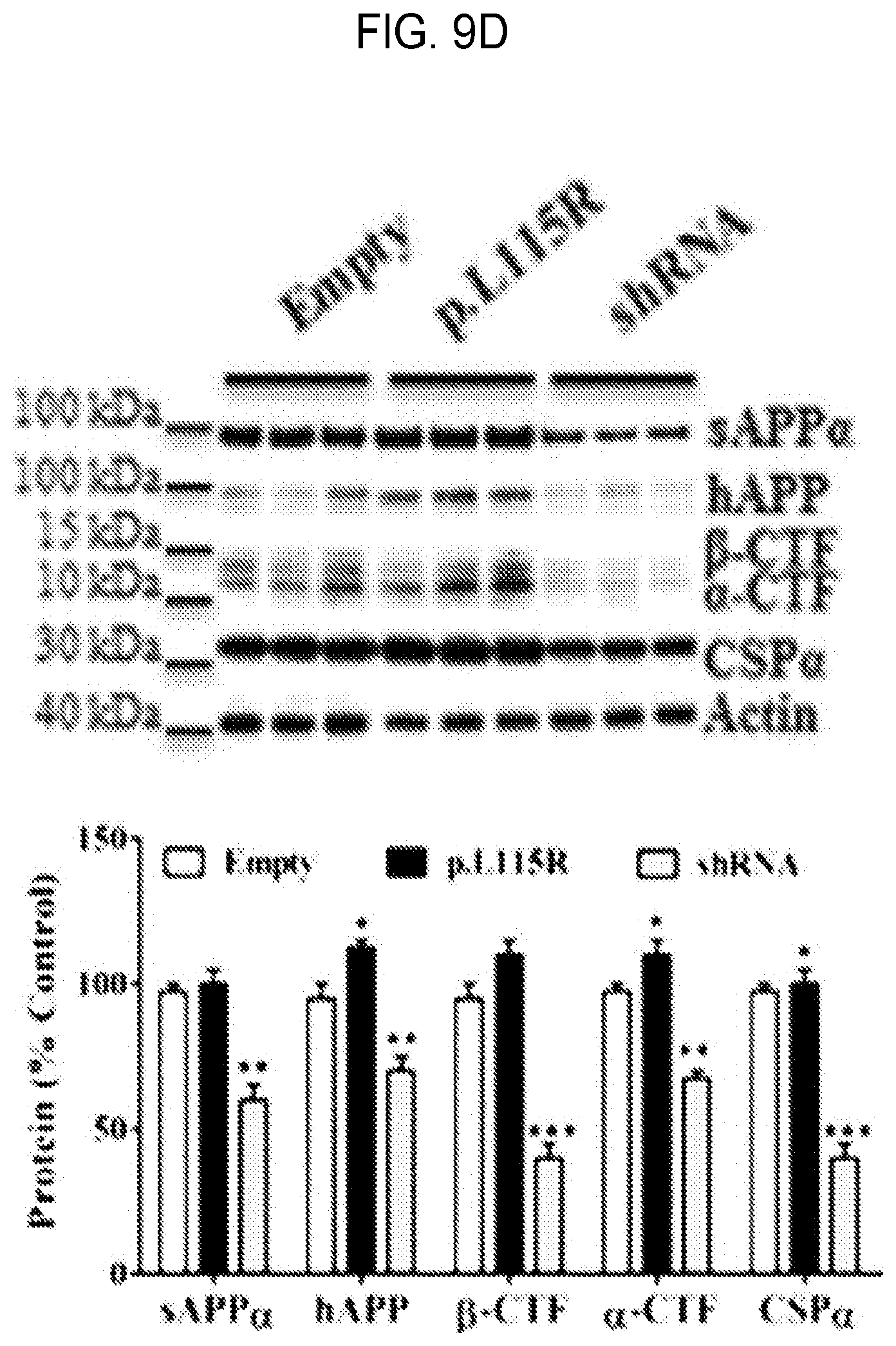 Patent US12460262 Figure 13 – Methods of detecting, preventing, reversing, and treating neurological diseases