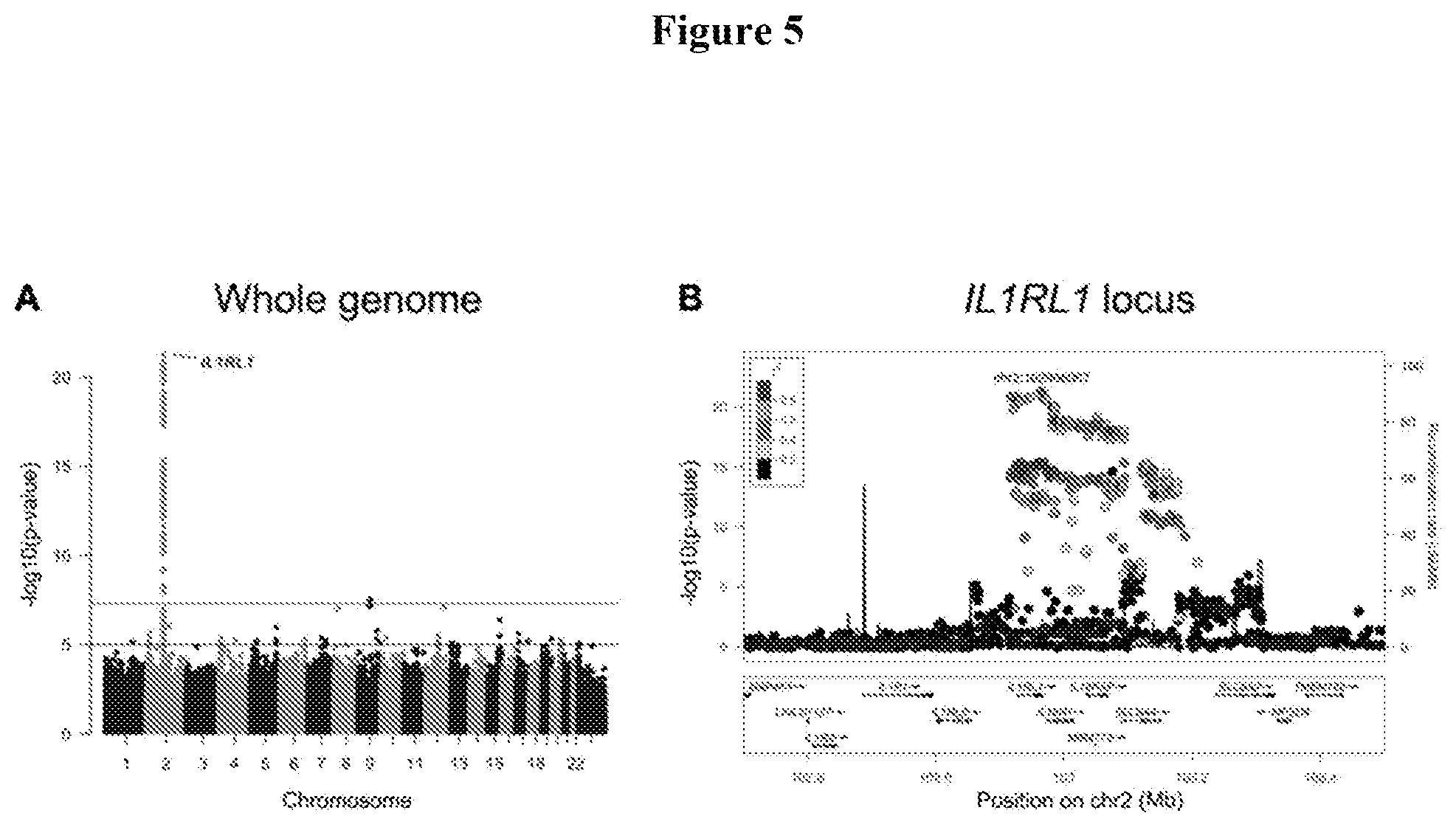 Patent US12460263 Figure 5 – Genetic variants for diagnosis of Alzheimer's disease