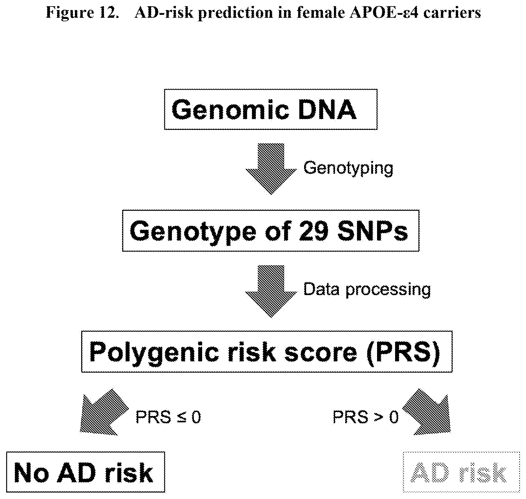 Patent US12460263 Figure 12 – Genetic variants for diagnosis of Alzheimer's disease