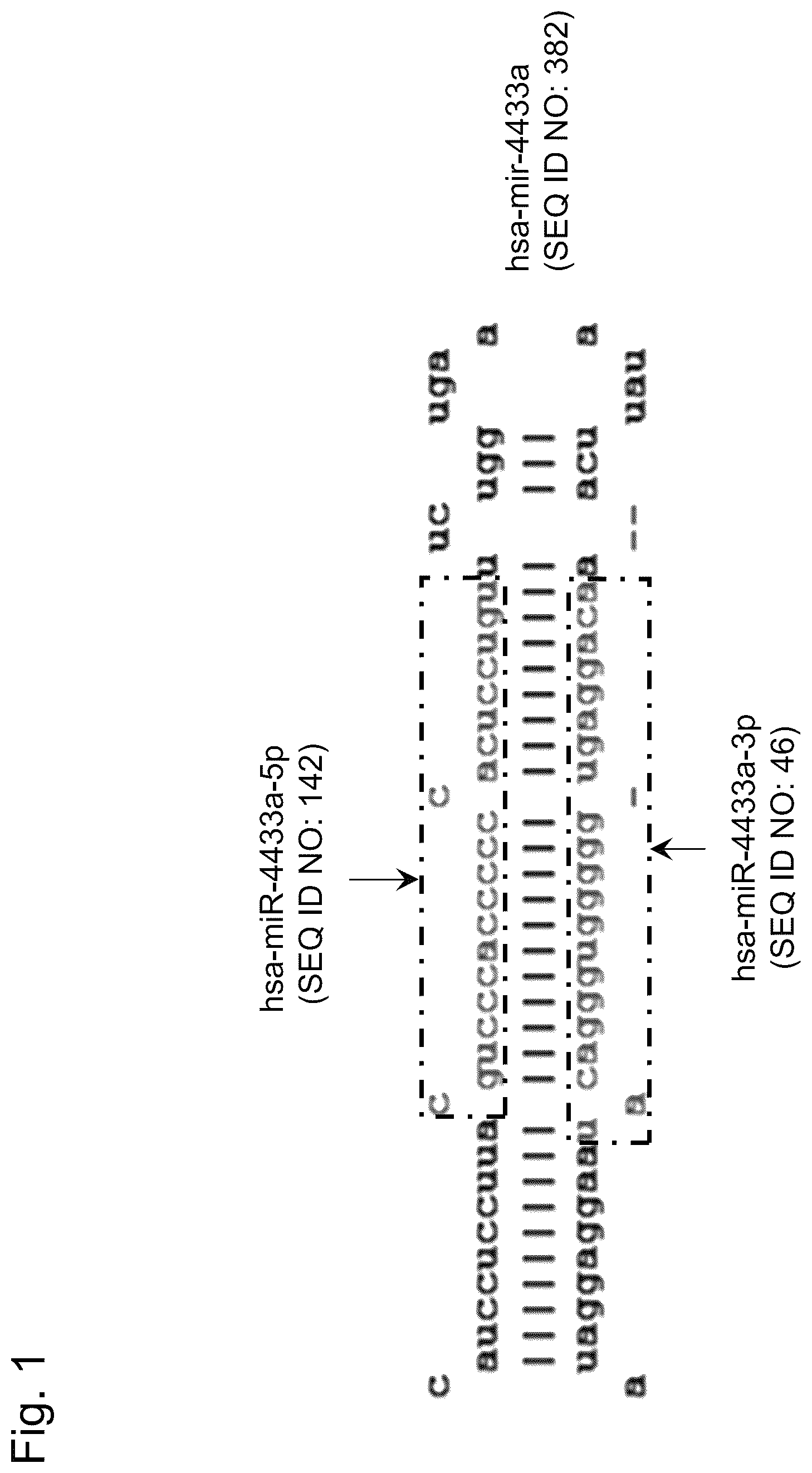 Patent US12460266 Figure 1 – Kit, device, and method for detecting lung cancer