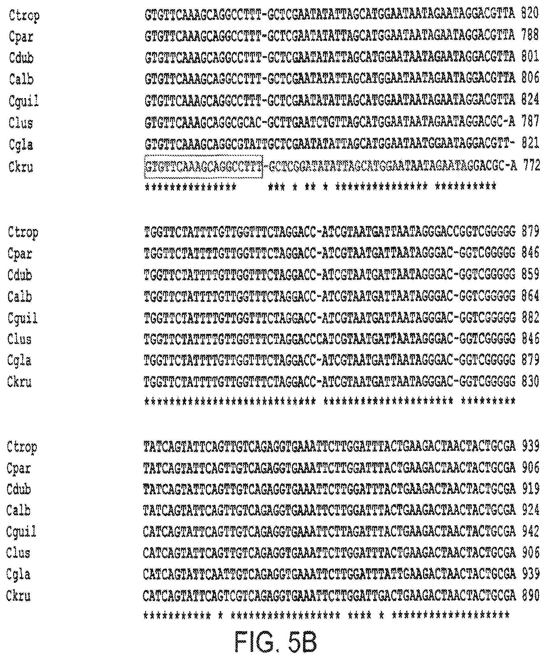 Patent US12460268 Figure 6 – Assays for fungal infection