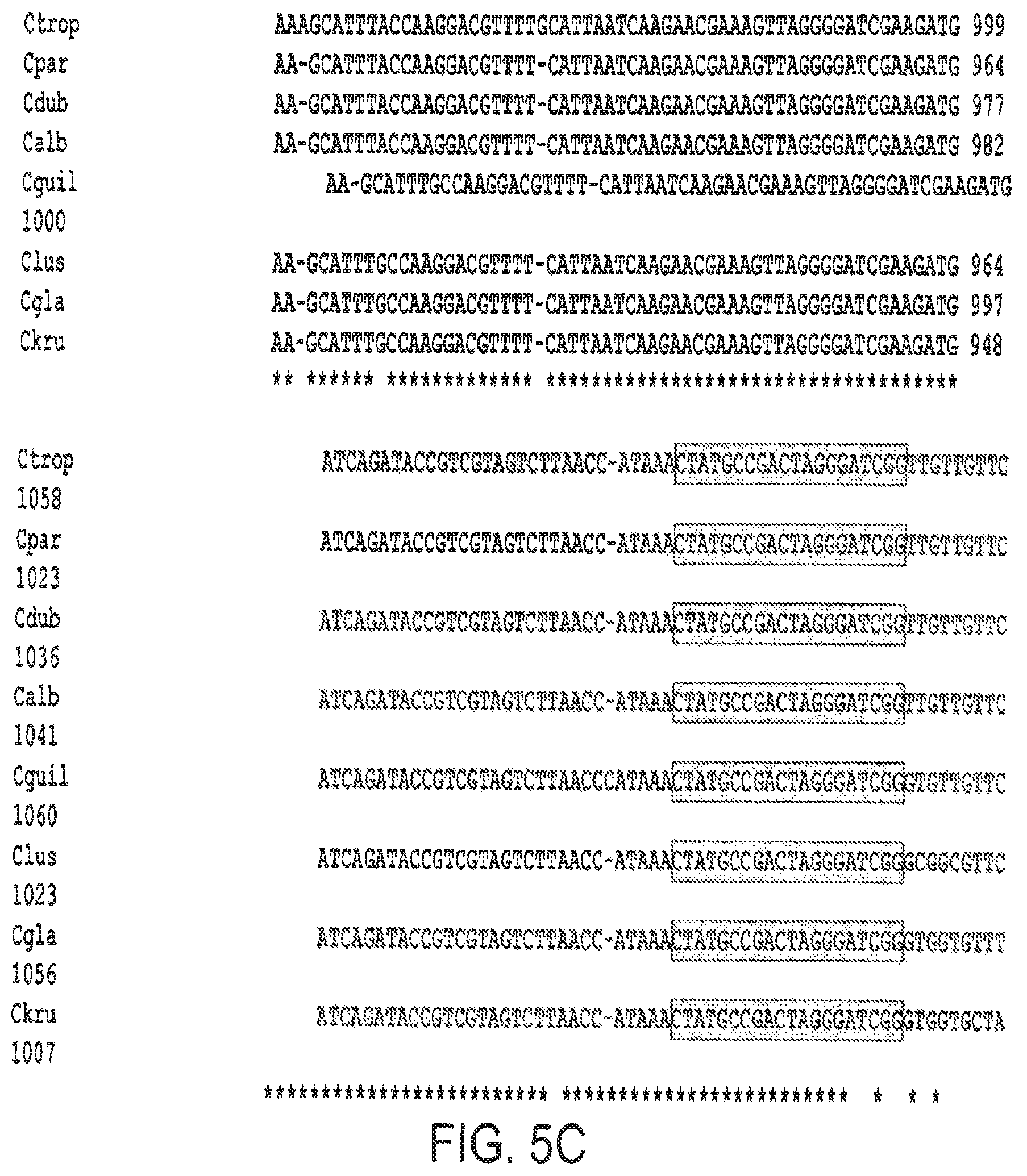 Patent US12460268 Figure 7 – Assays for fungal infection