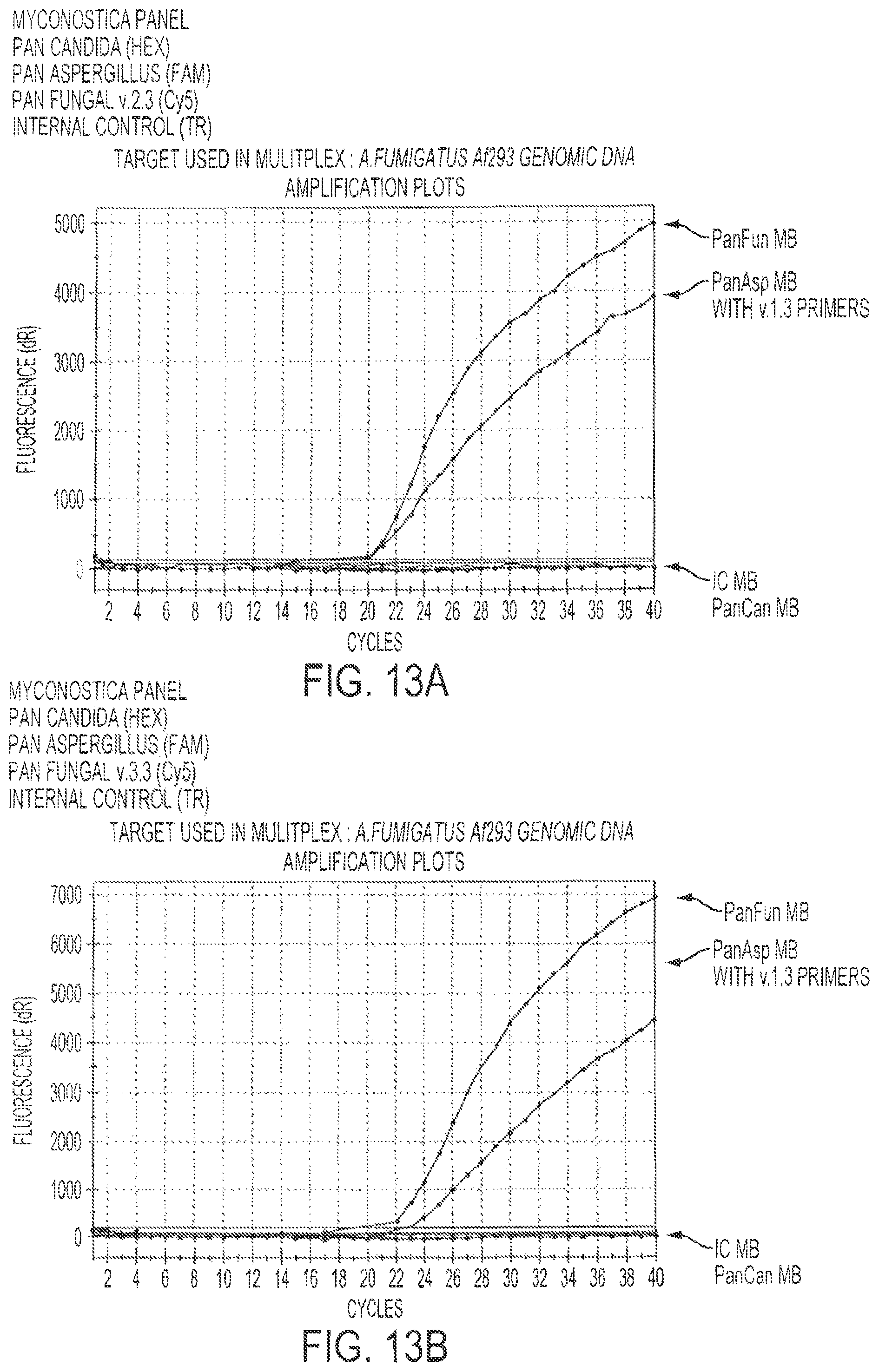 Patent US12460268 Figure 14 – Assays for fungal infection