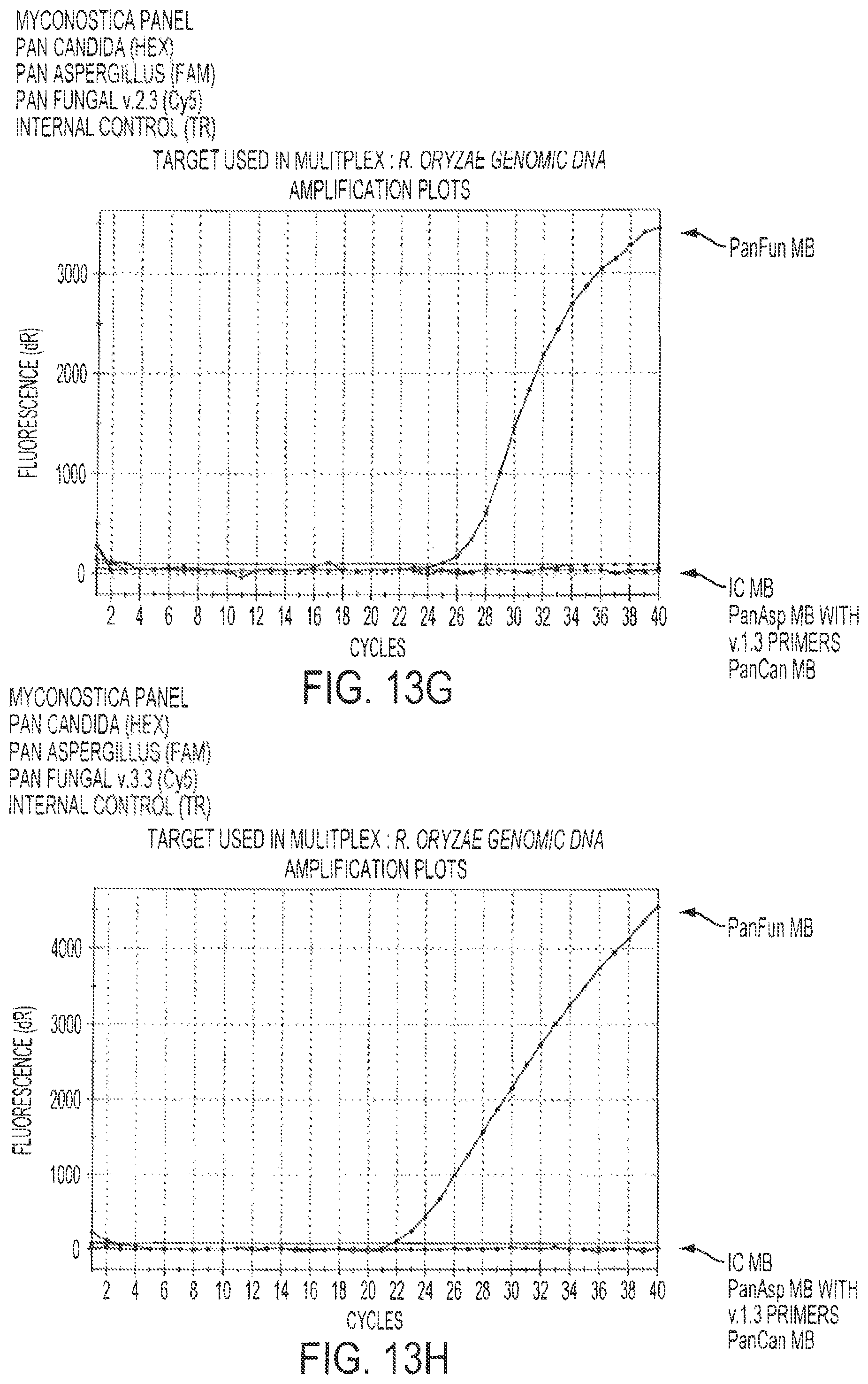 Patent US12460268 Figure 17 – Assays for fungal infection