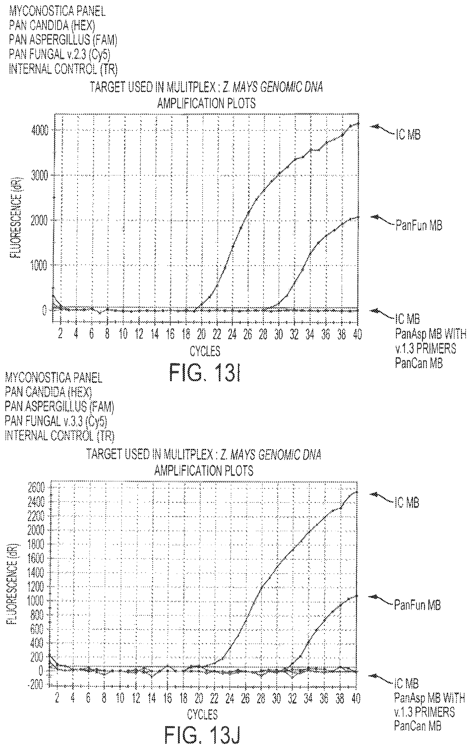 Patent US12460268 Figure 18 – Assays for fungal infection