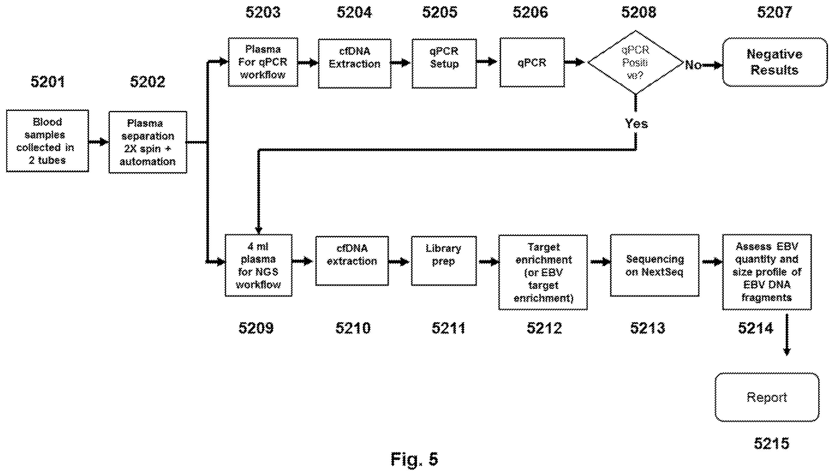 Patent US12460269 Figure 5 – Methods for analyzing viral nucleic acid