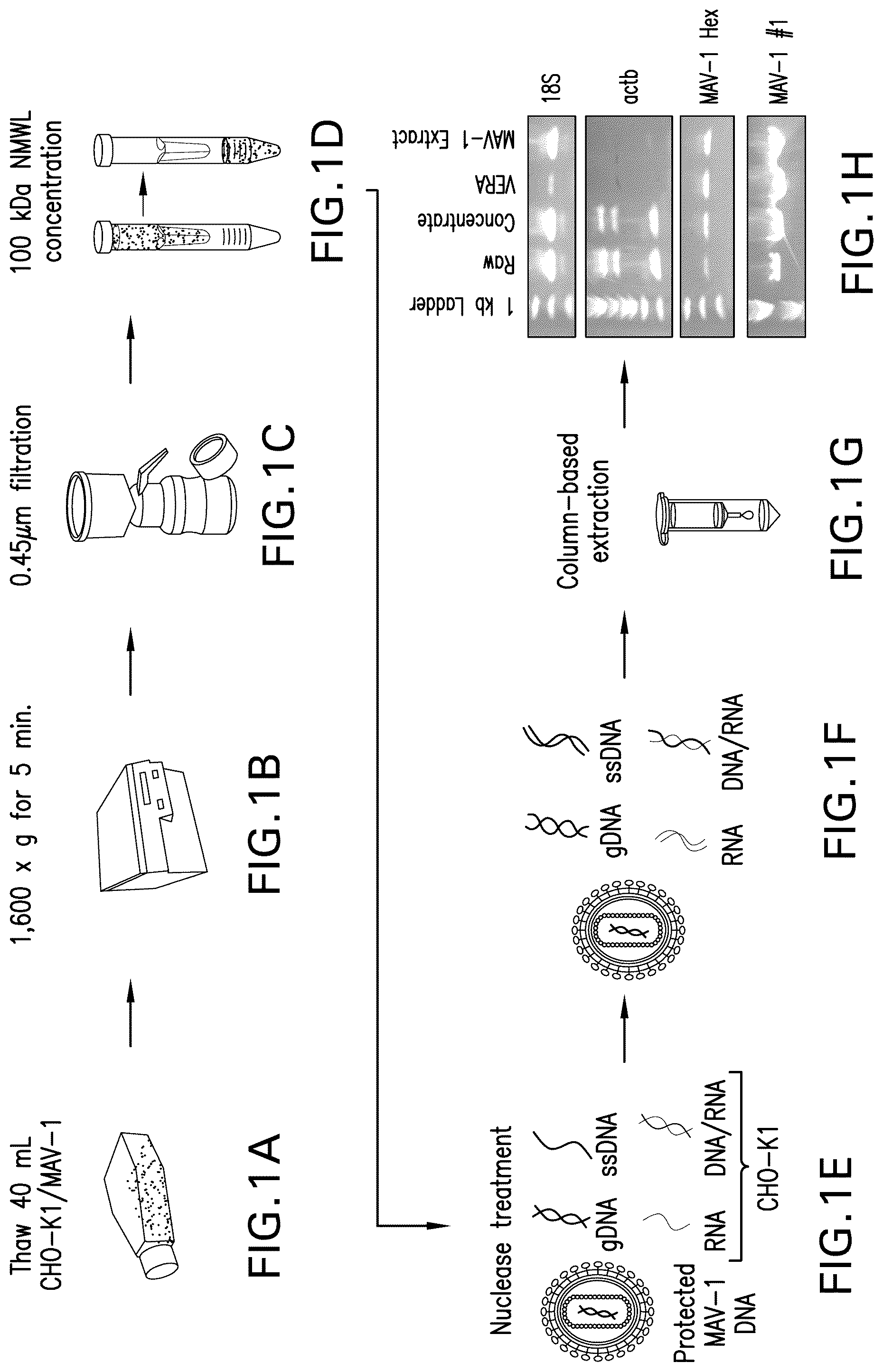 Patent US12460270 Figure 1 – Systems and methods for identifying viral contaminants