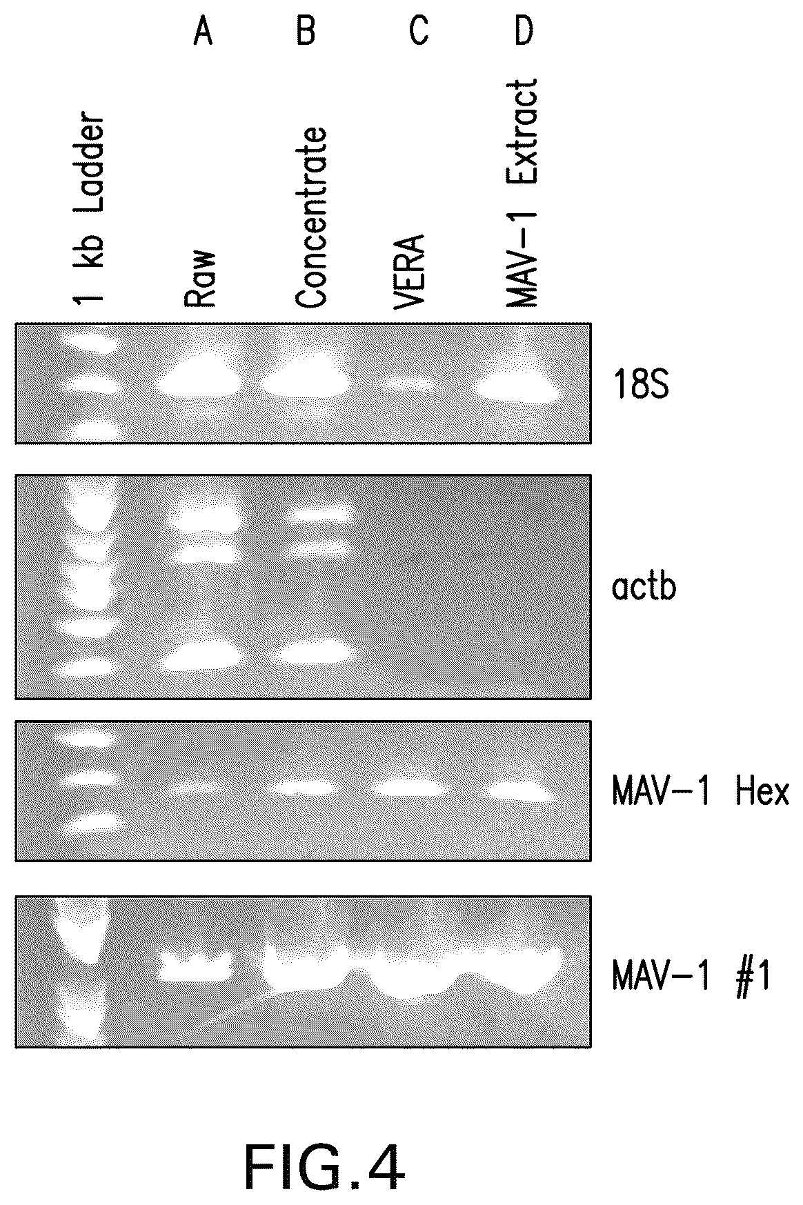 Patent US12460270 Figure 4 – Systems and methods for identifying viral contaminants