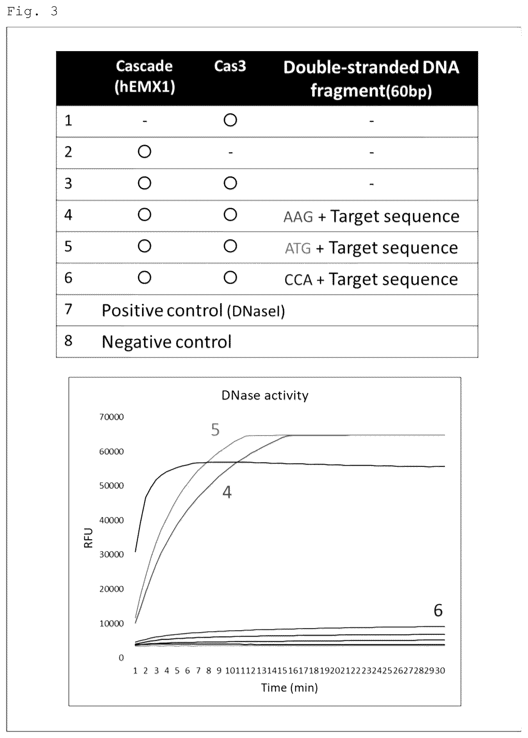 Patent US12460271 Figure 3 – Method for detecting specific DNA in a sample