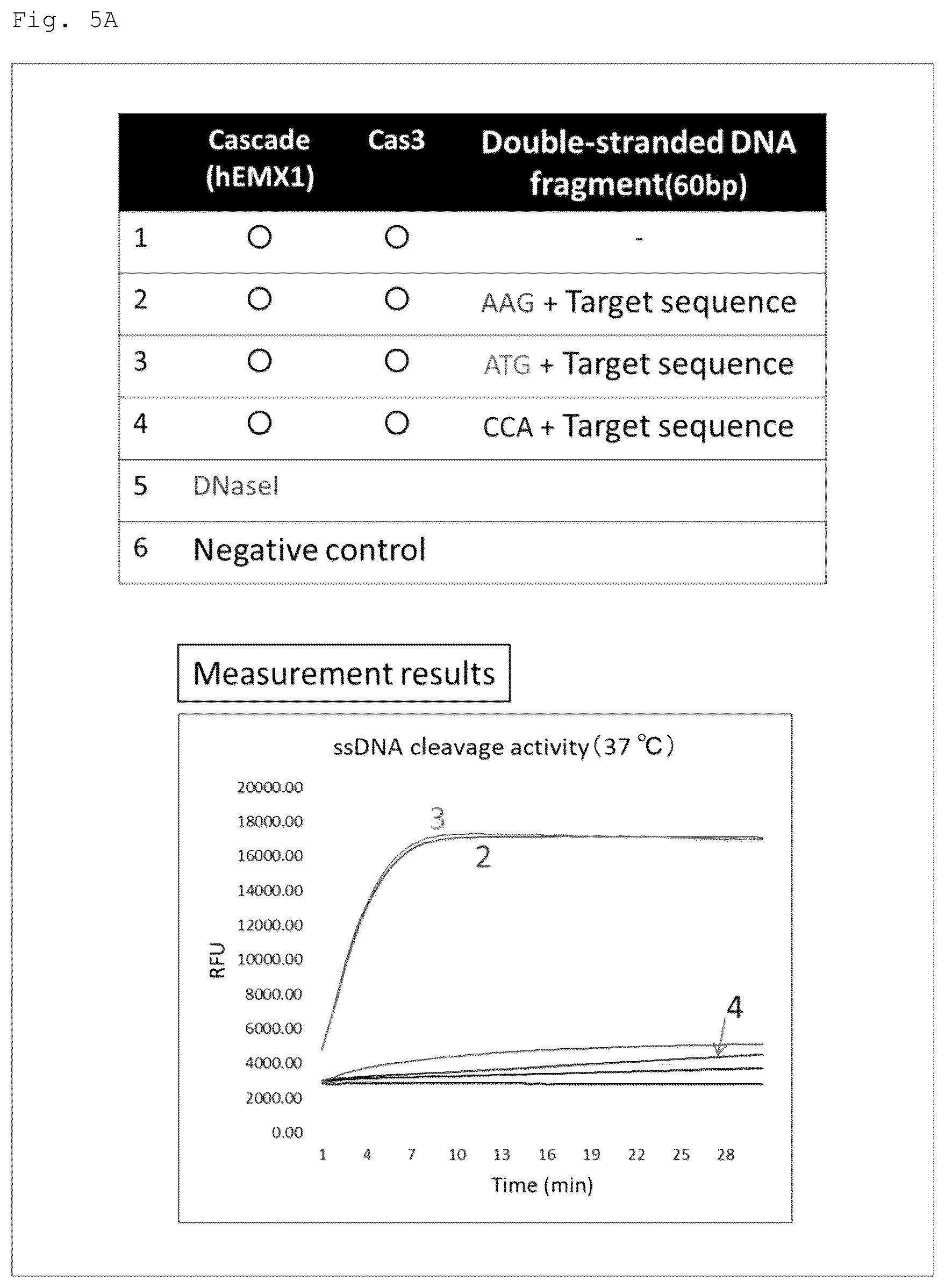 Patent US12460271 Figure 5 – Method for detecting specific DNA in a sample