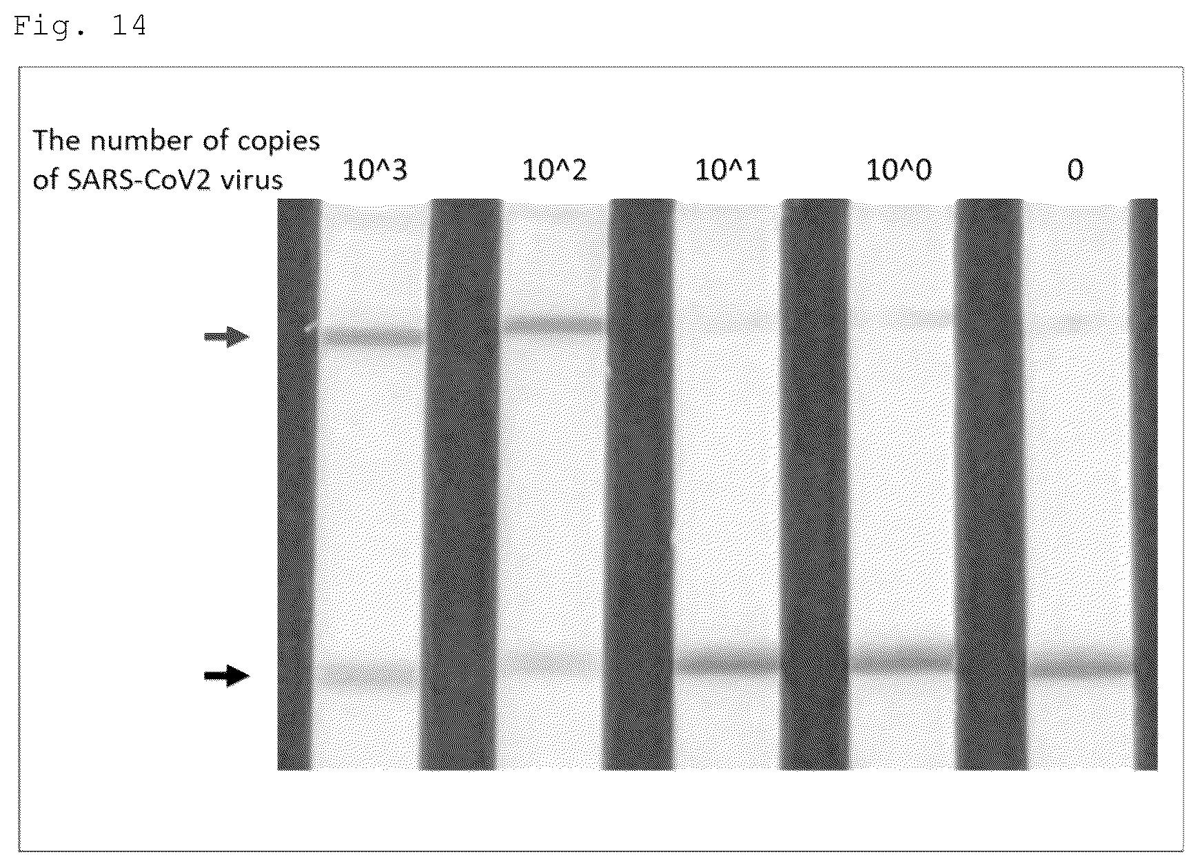 Patent US12460271 Figure 16 – Method for detecting specific DNA in a sample
