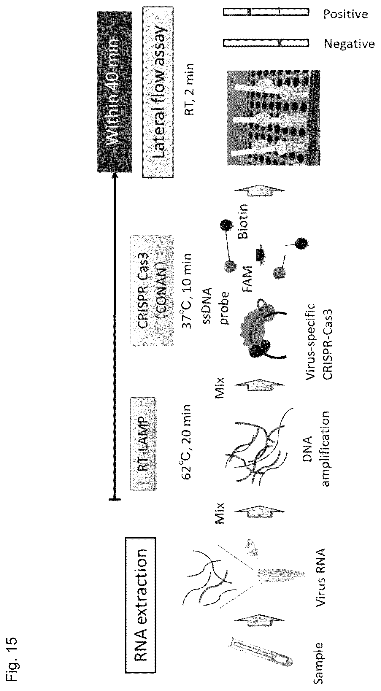 Patent US12460271 Figure 17 – Method for detecting specific DNA in a sample