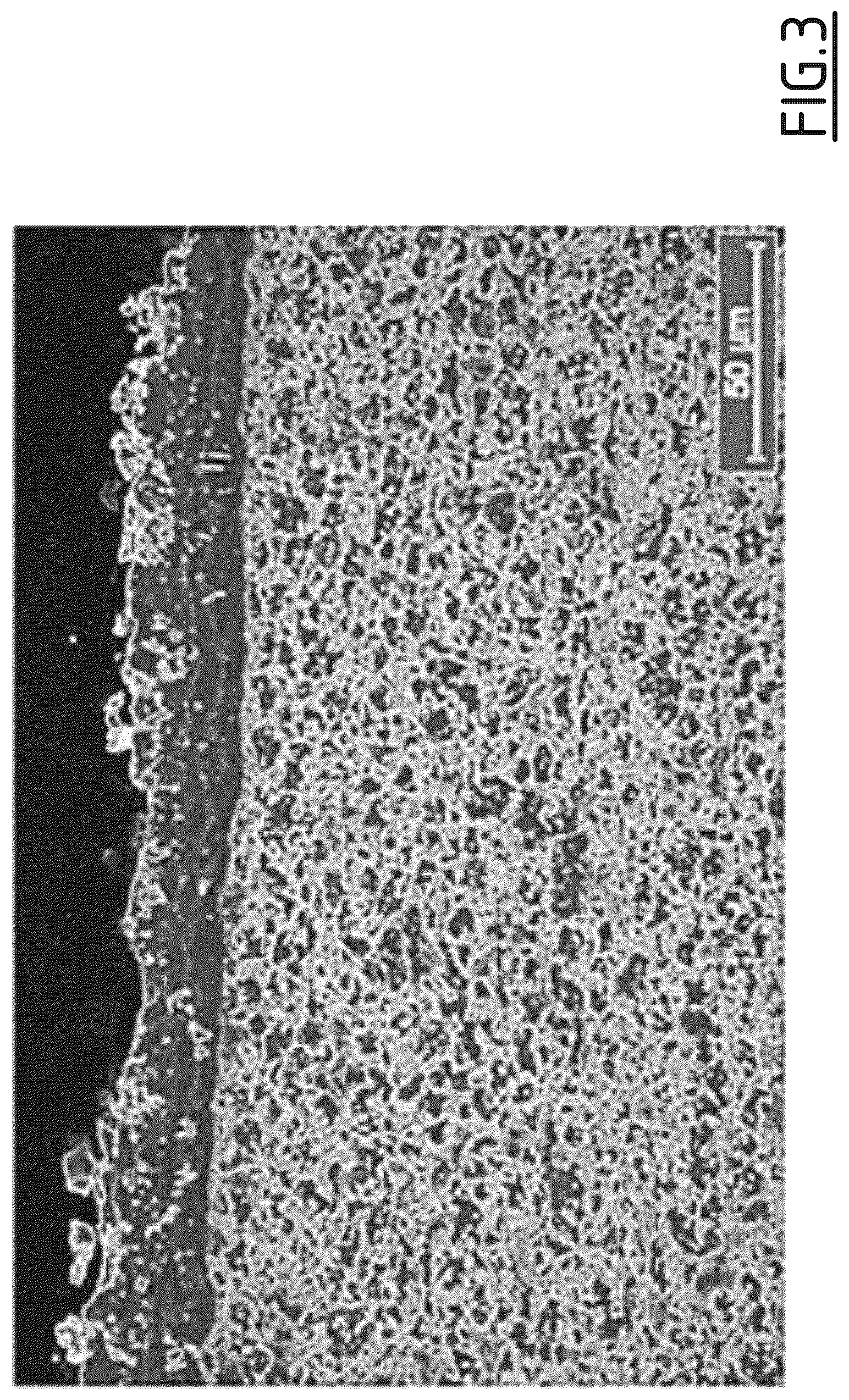 Patent US12460282 Figure 3 – Crack-containing hot-stamped coated steel part with excellent spot-weldability and excellent painting adhesion