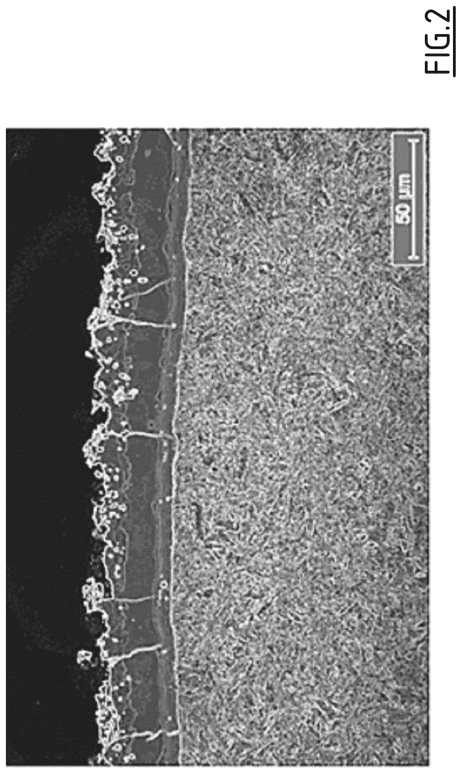 Patent US12460283 Figure 2 – Crack-containing hot-stamped coated steel part with excellent spot-weldability and excellent painting adhesion