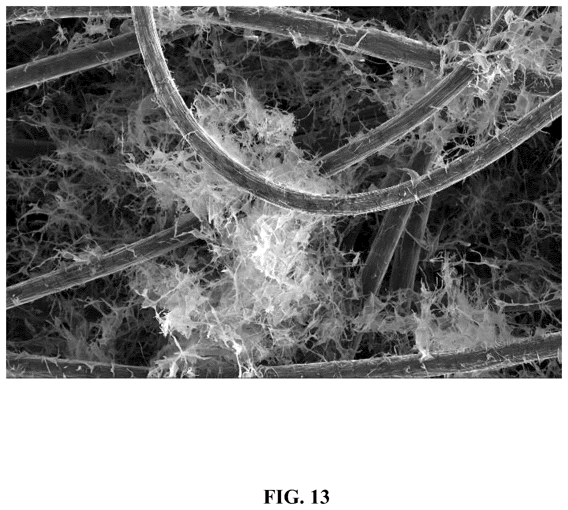 Patent US12460309 Figure 13 – Direct electrochemical extraction of lithium from ores
