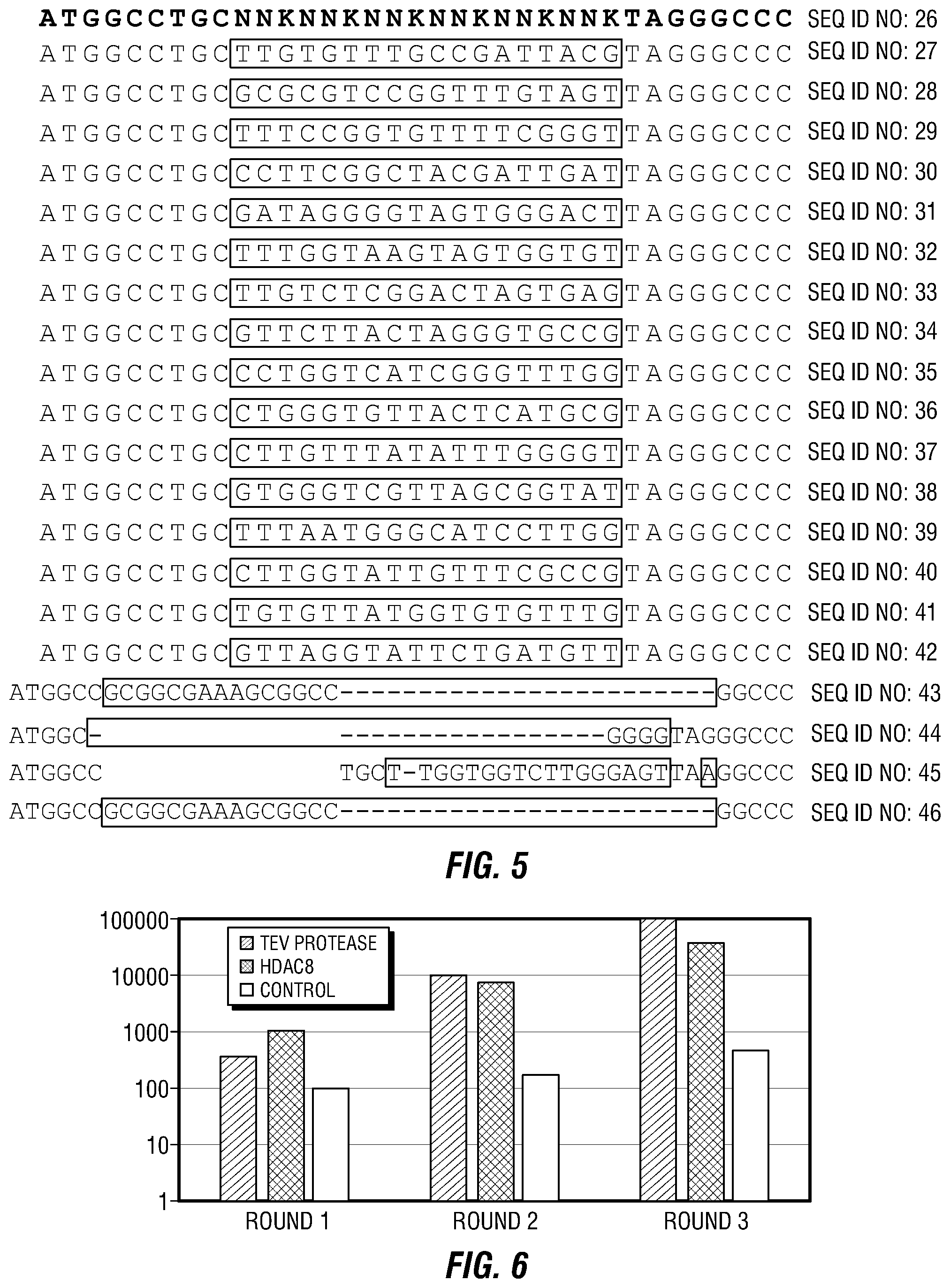Patent US12460317 Figure 9 – Genetically encoded, phage-displayed cyclic peptide library and methods of making the same