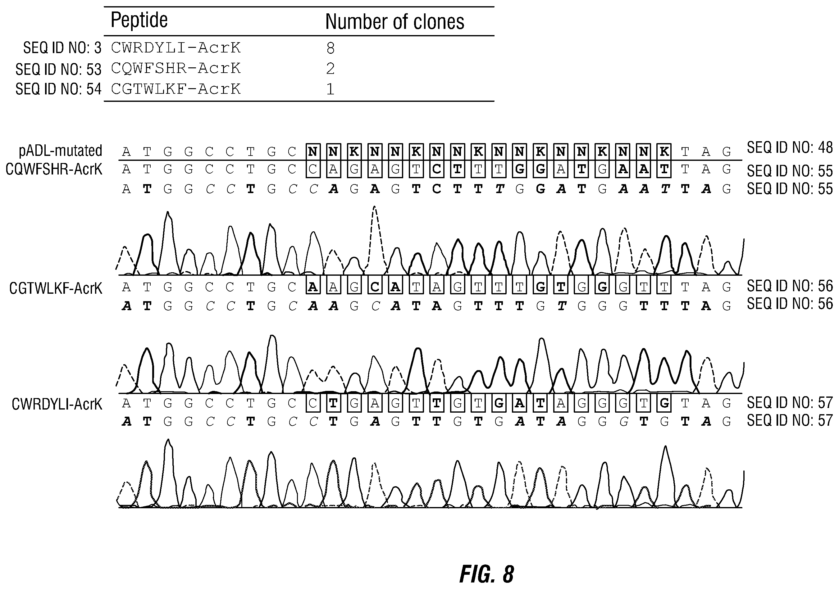 Patent US12460317 Figure 11 – Genetically encoded, phage-displayed cyclic peptide library and methods of making the same