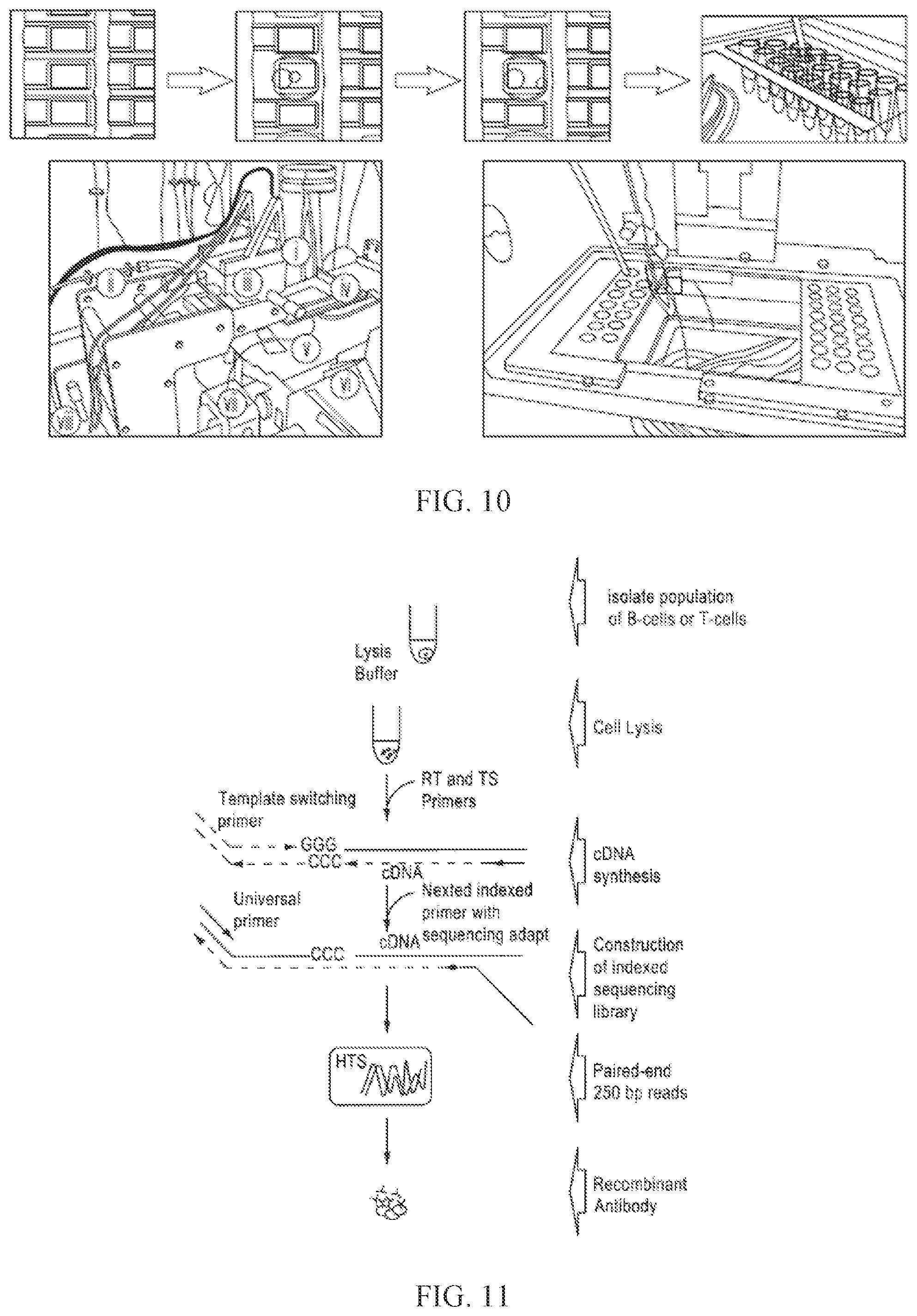 Patent US12460318 Figure 7 – Methods for determining lymphocyte receptor chain pairs