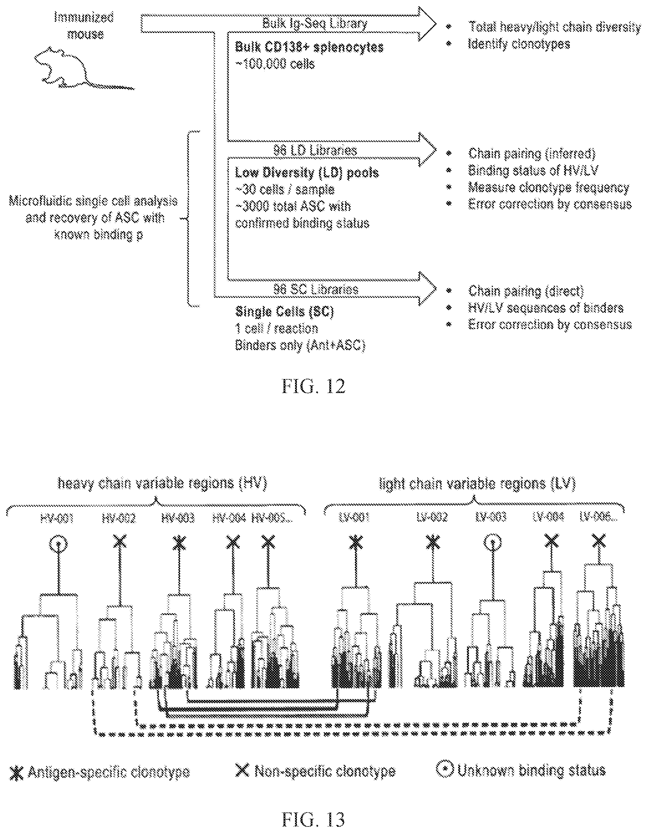Patent US12460318 Figure 8 – Methods for determining lymphocyte receptor chain pairs