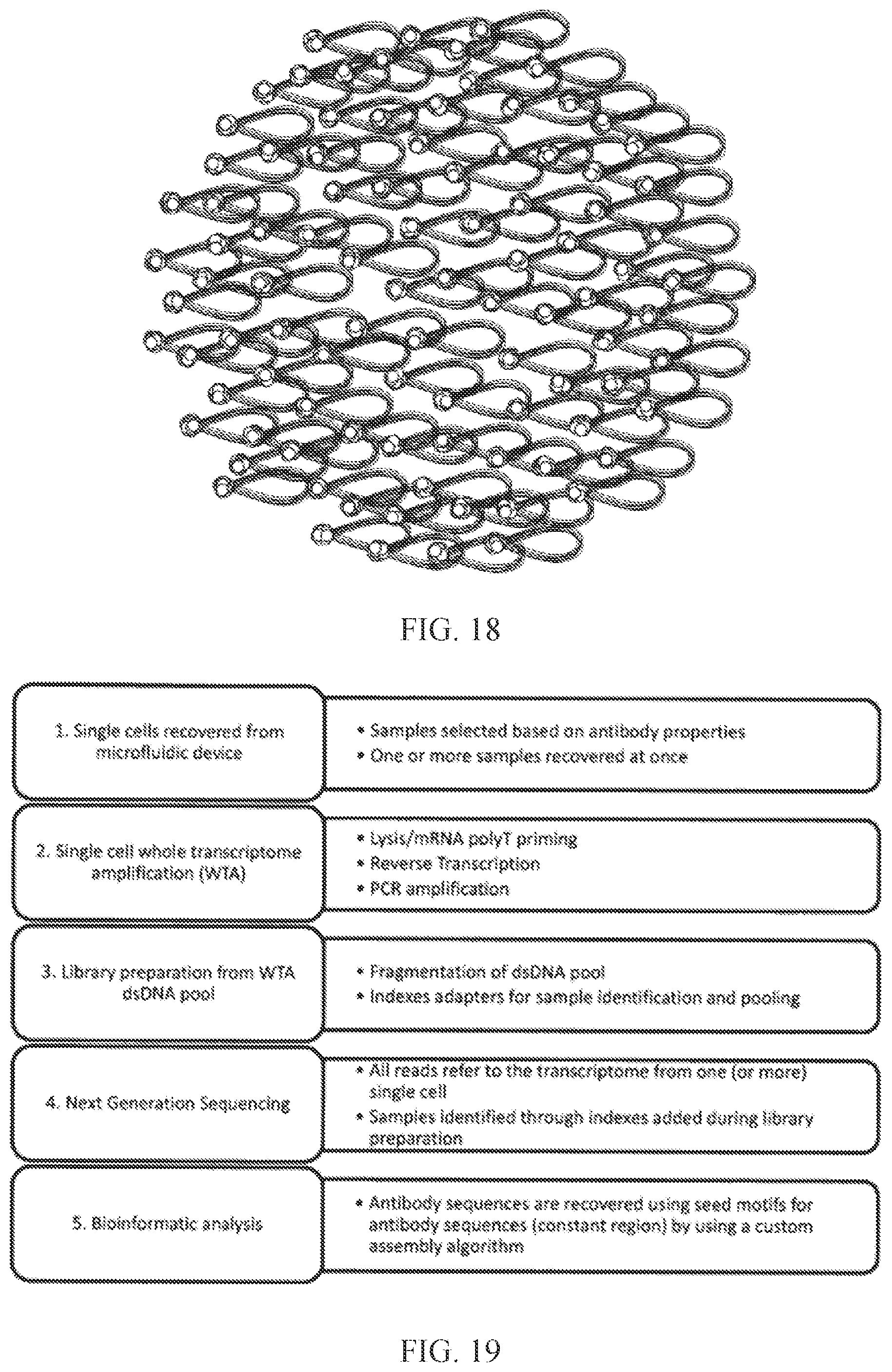 Patent US12460318 Figure 11 – Methods for determining lymphocyte receptor chain pairs