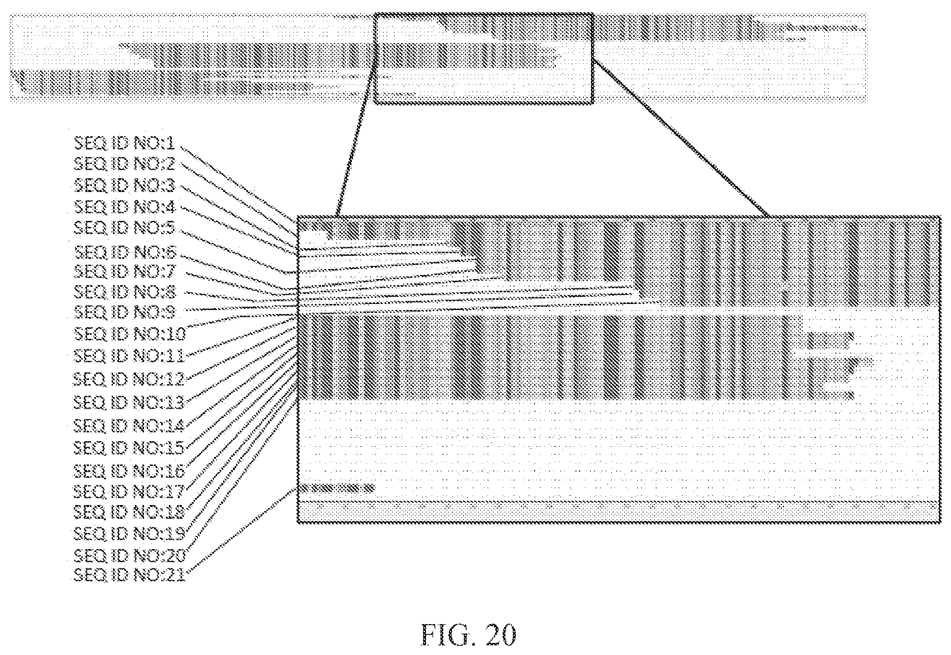 Patent US12460318 Figure 12 – Methods for determining lymphocyte receptor chain pairs