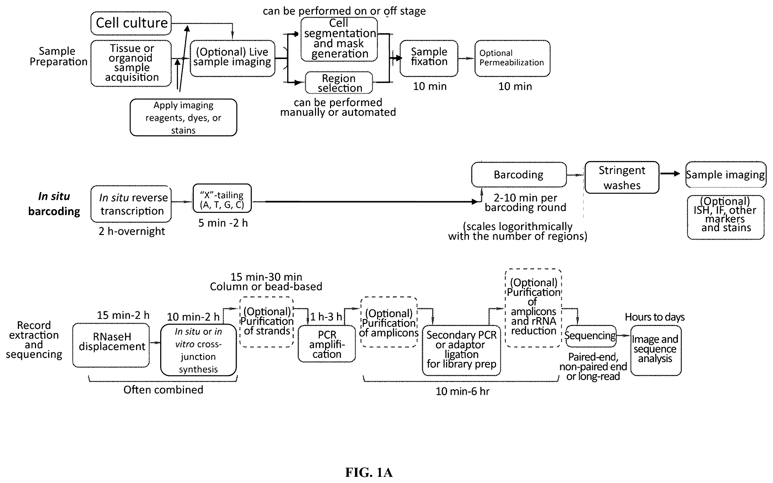 Patent US12460319 — Tissue spatial omics — Figure 1