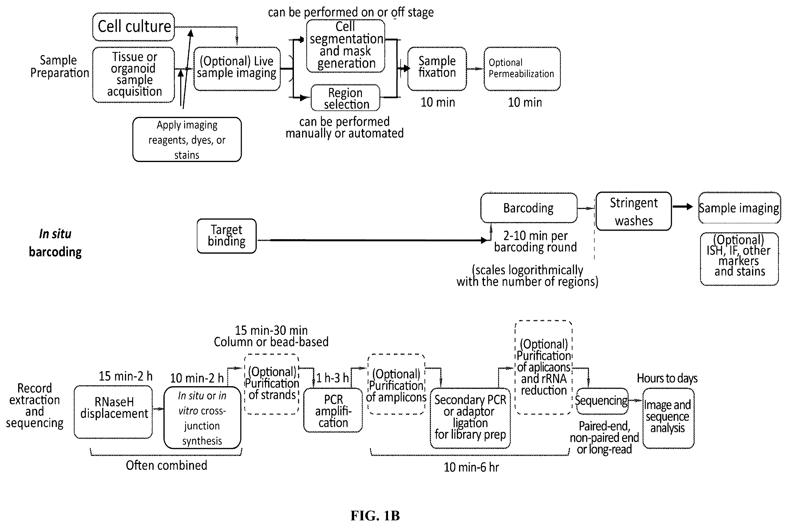 Patent US12460319 Figure 2 – Tissue spatial omics