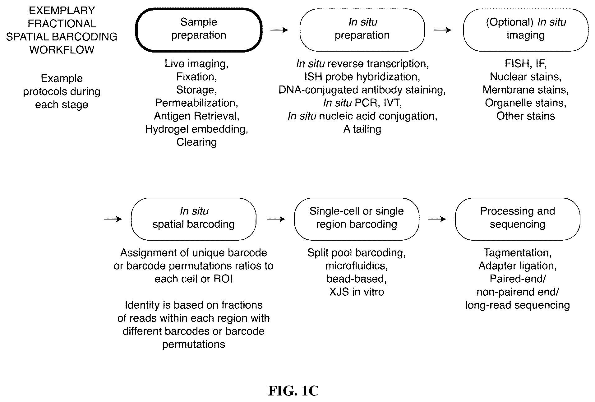 Patent US12460319 Figure 3 – Tissue spatial omics
