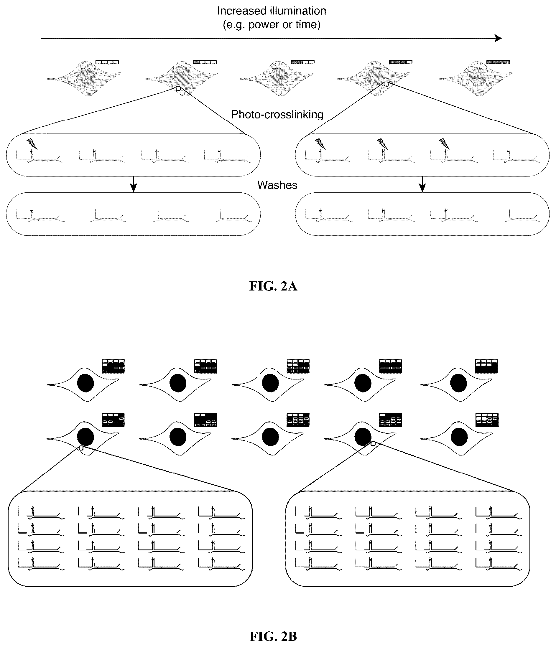 Patent US12460319 Figure 4 – Tissue spatial omics