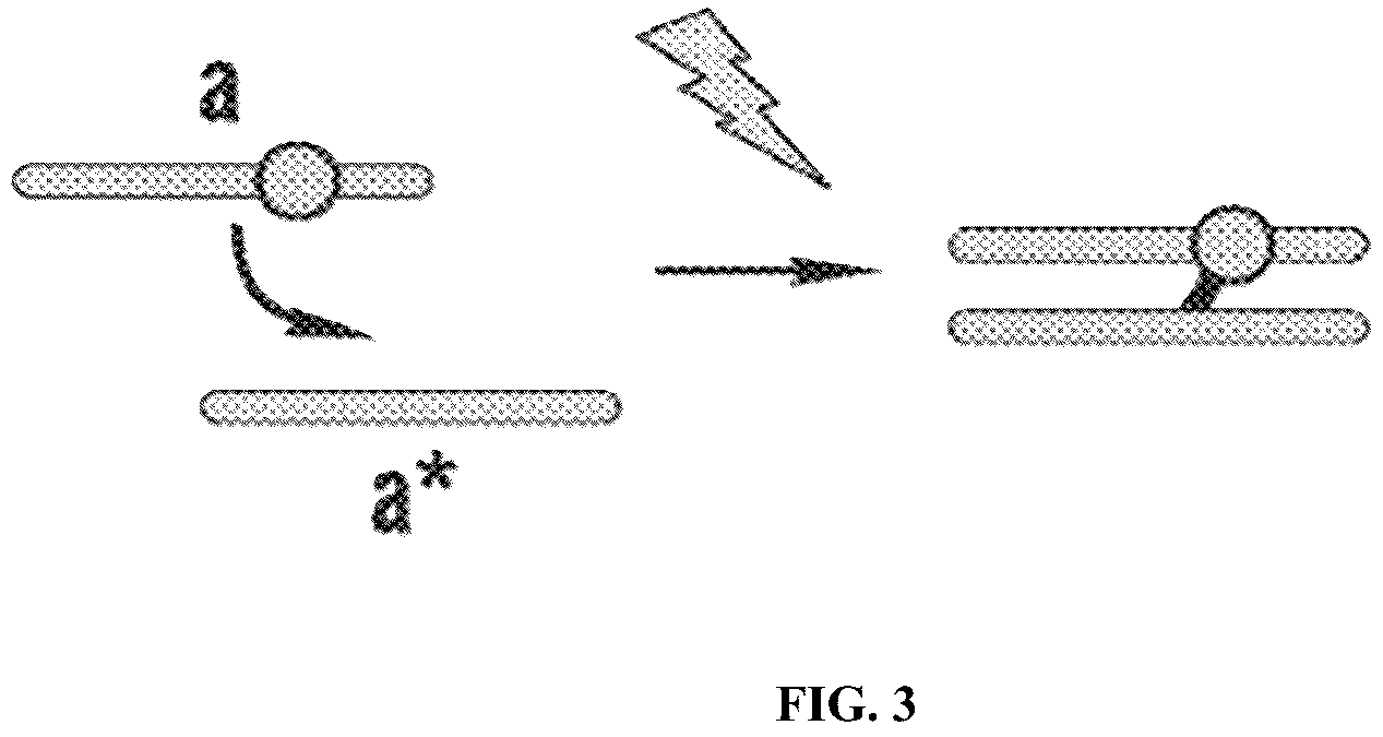 Patent US12460319 Figure 5 – Tissue spatial omics