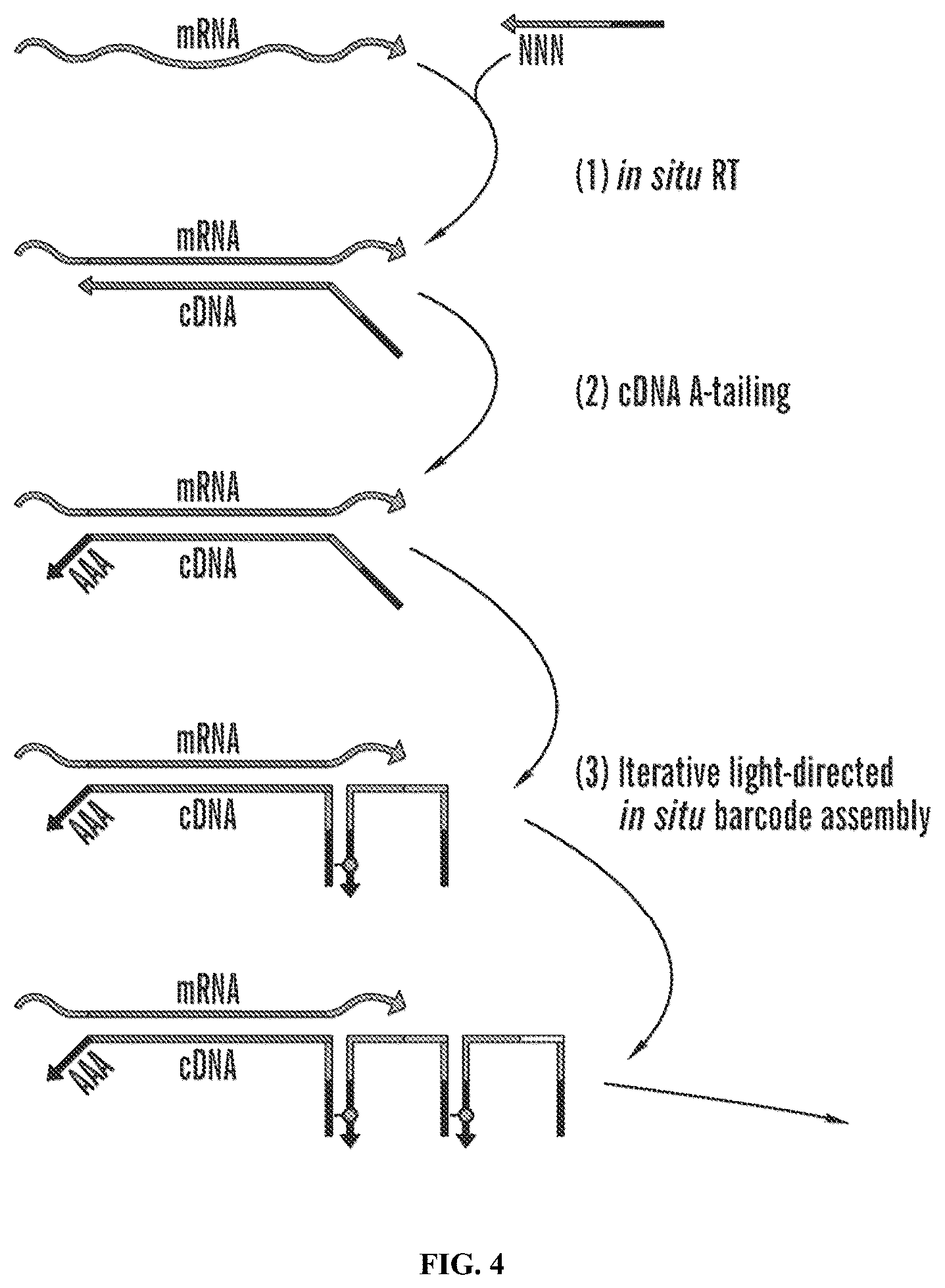 Patent US12460319 Figure 6 – Tissue spatial omics