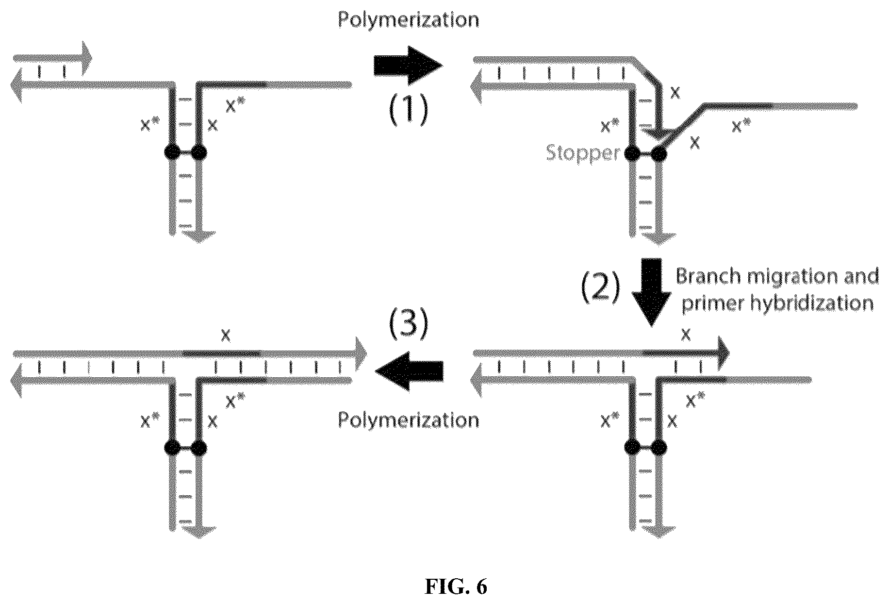 Patent US12460319 Figure 8 – Tissue spatial omics