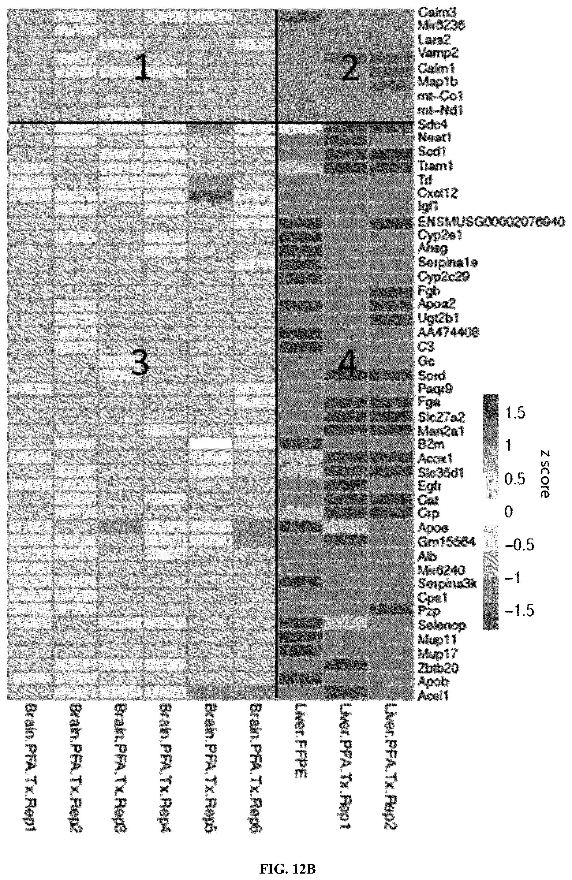 Patent US12460319 Figure 12 – Tissue spatial omics